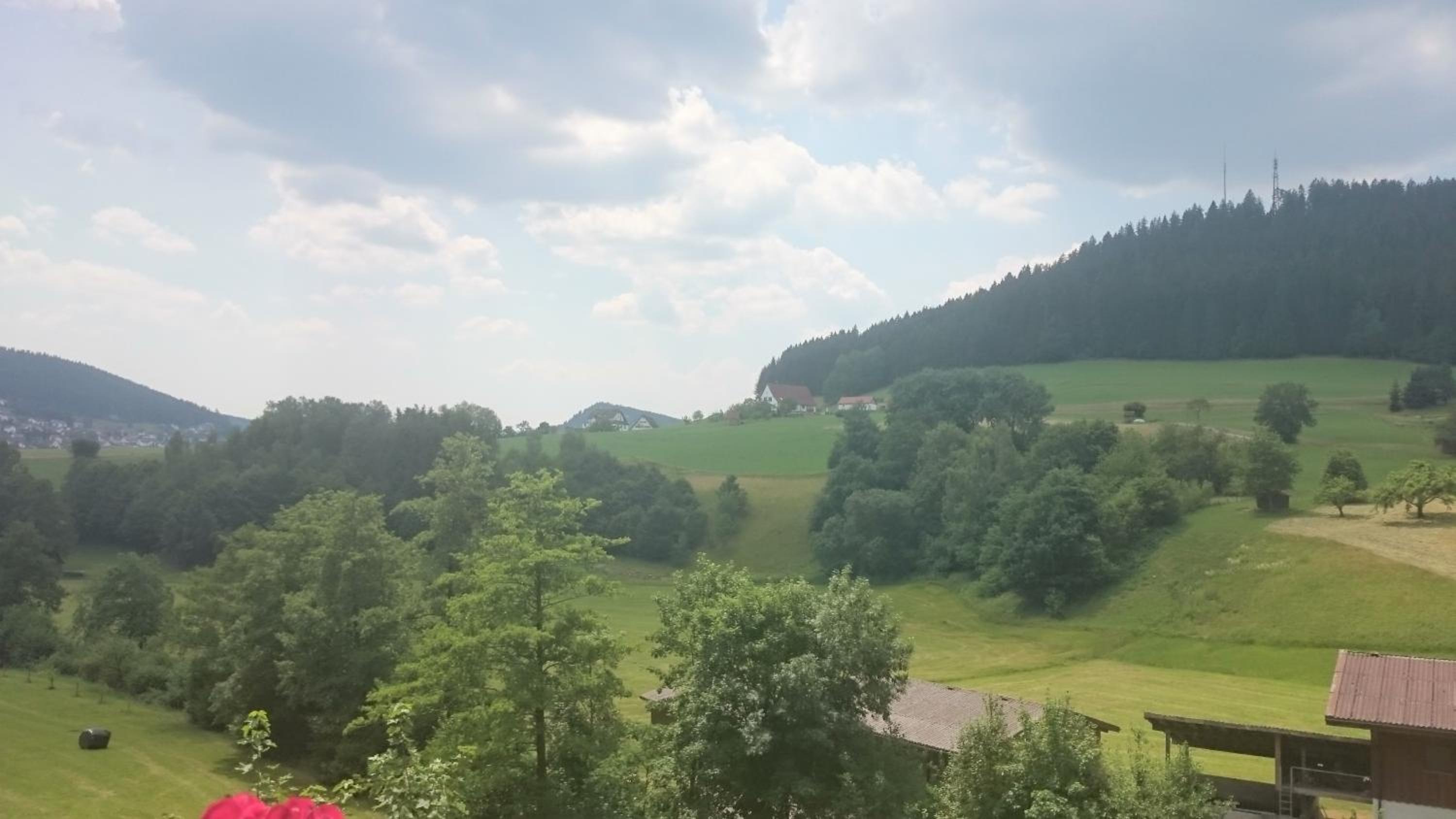 Schwarzwaldzauber