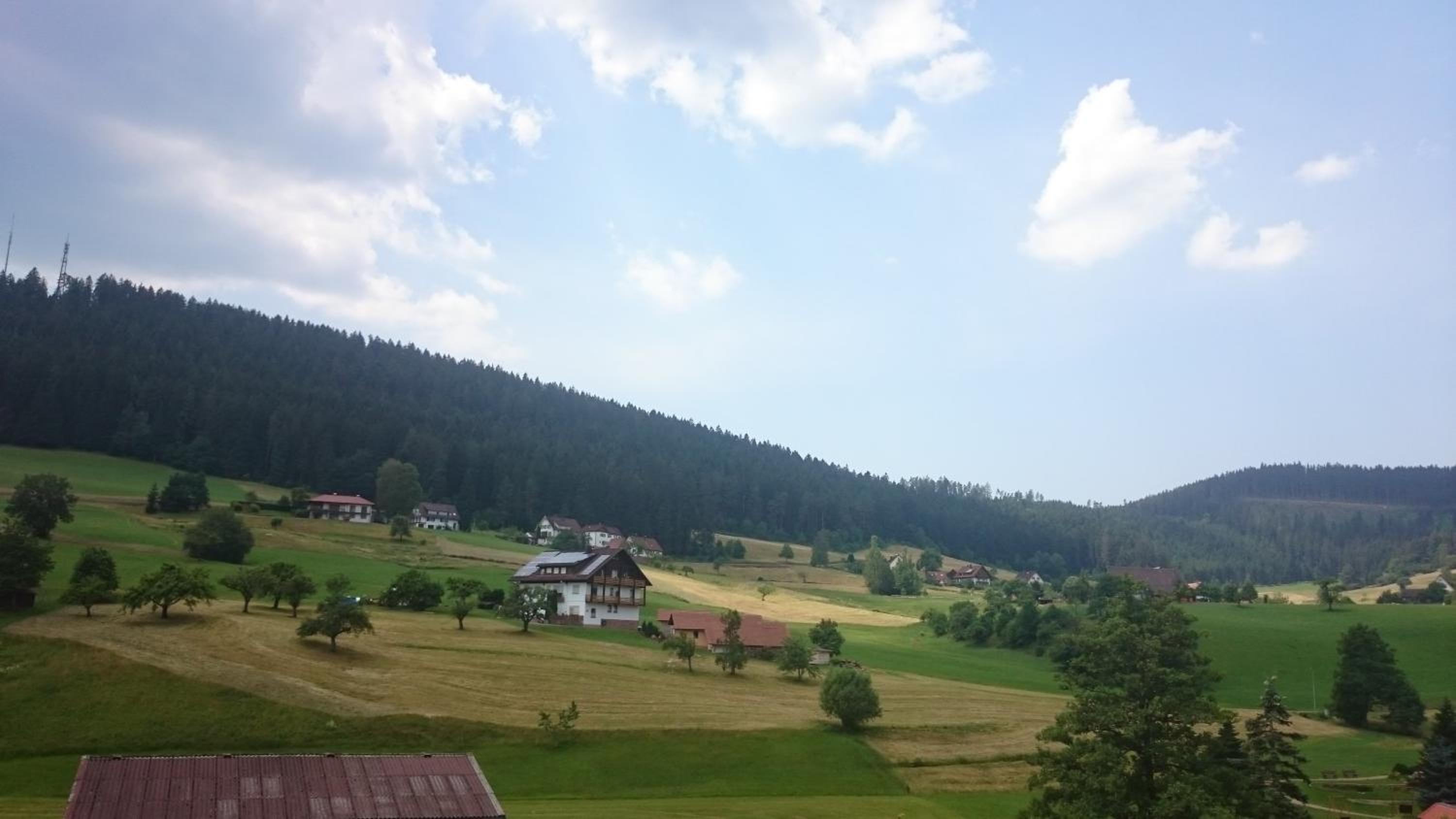 Schwarzwaldzauber