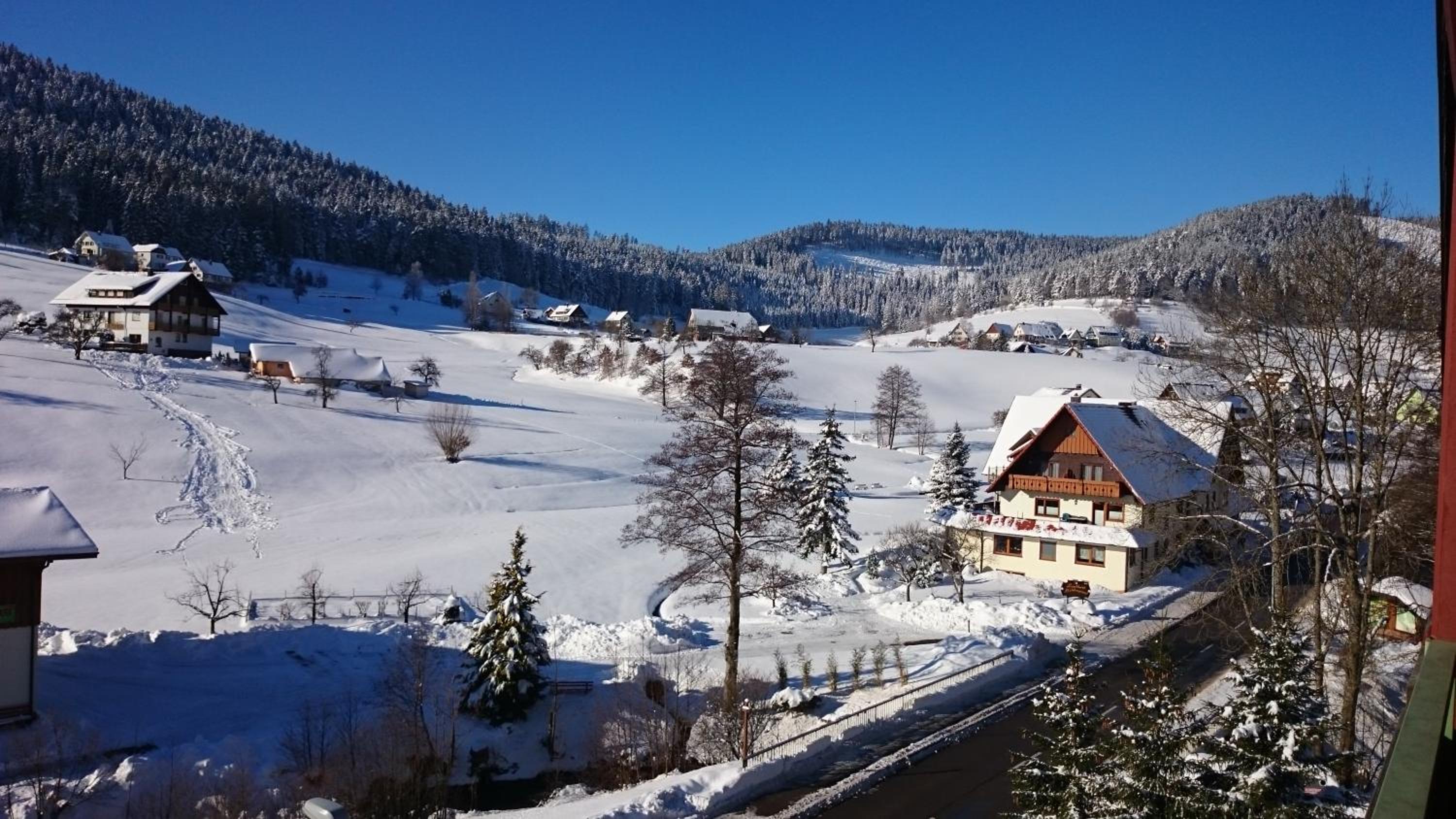 Schwarzwaldzauber