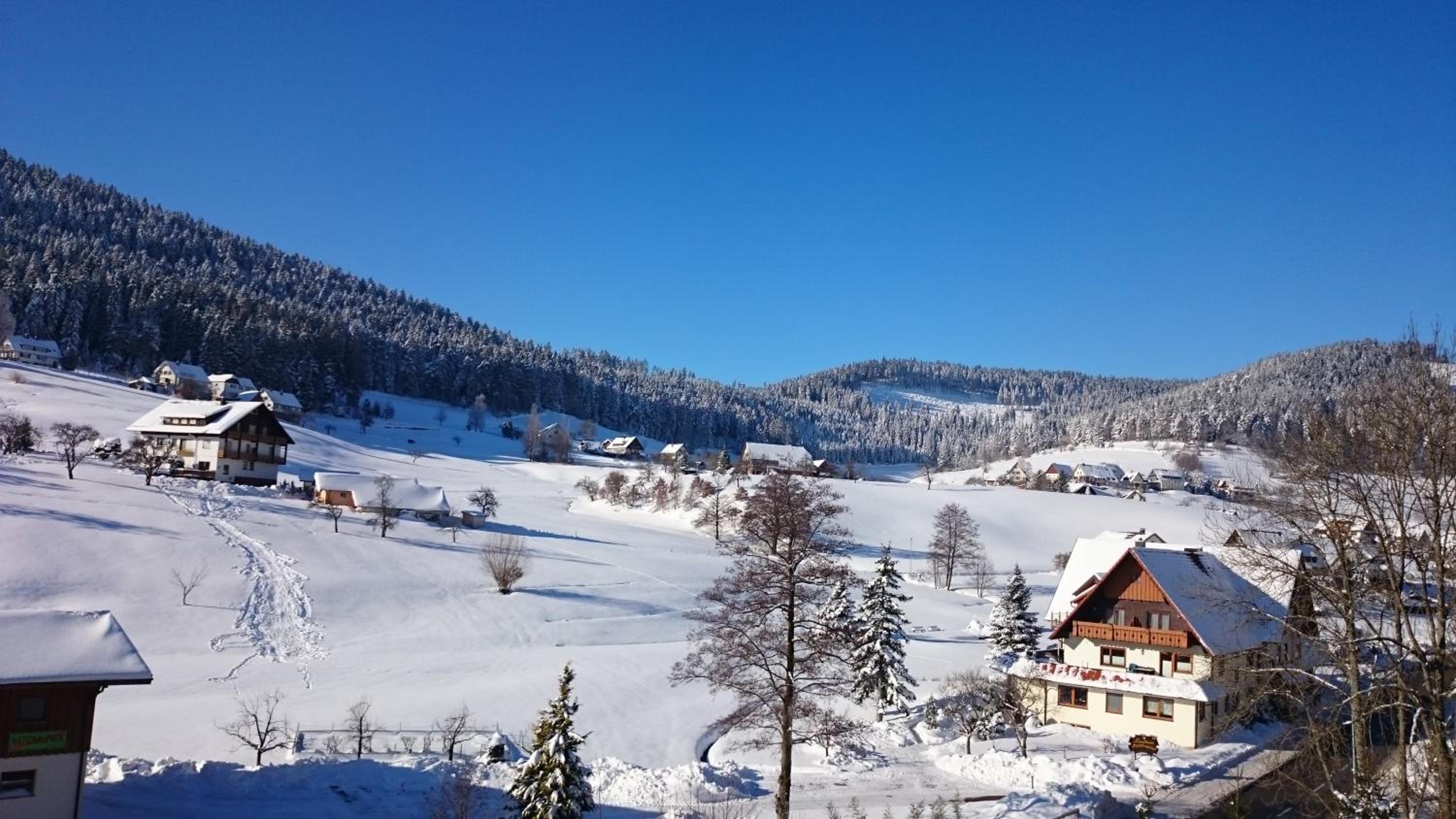 Schwarzwaldzauber