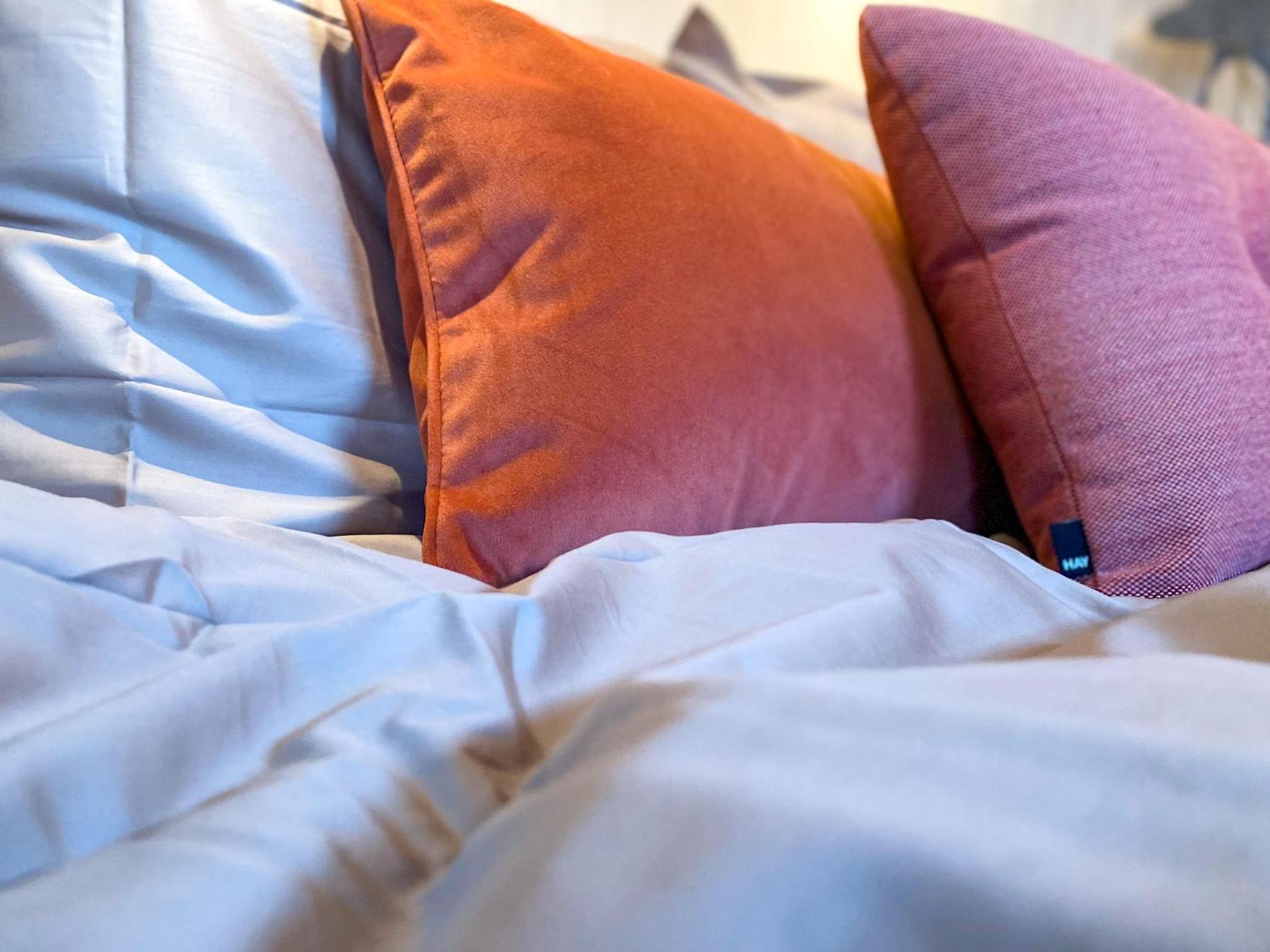 Bed & Wellness Pigs and Pillows with private hottub and sauna and tandembike rental included in price near Amsterdam