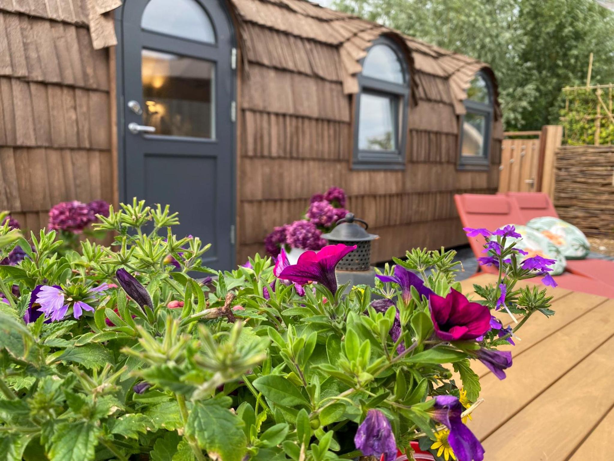 Bed & Wellness Pigs and Pillows with private hottub and sauna and tandembike rental included in price near Amsterdam