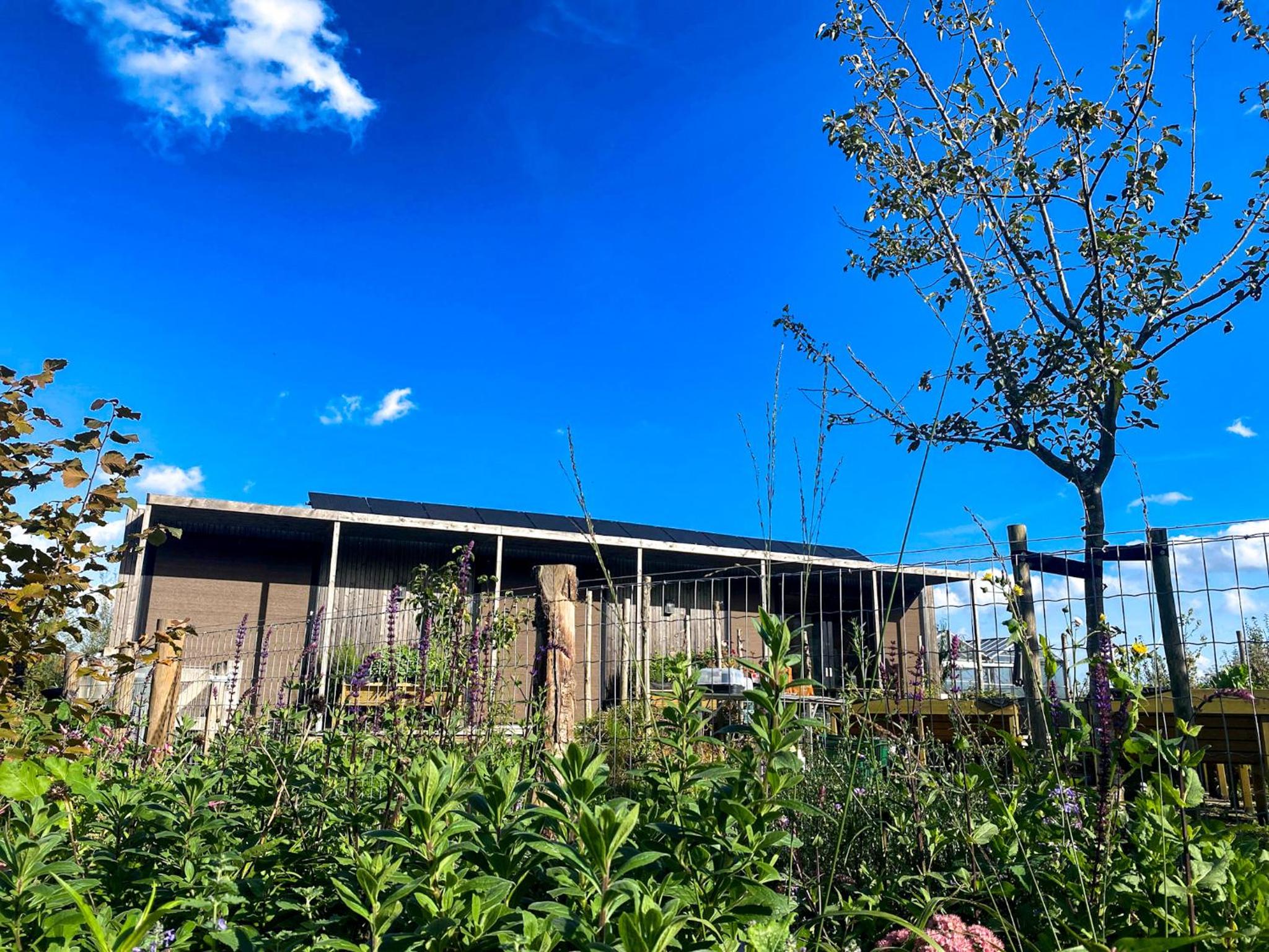 Bed & Wellness Pigs and Pillows with private hottub and sauna and tandembike rental included in price near Amsterdam