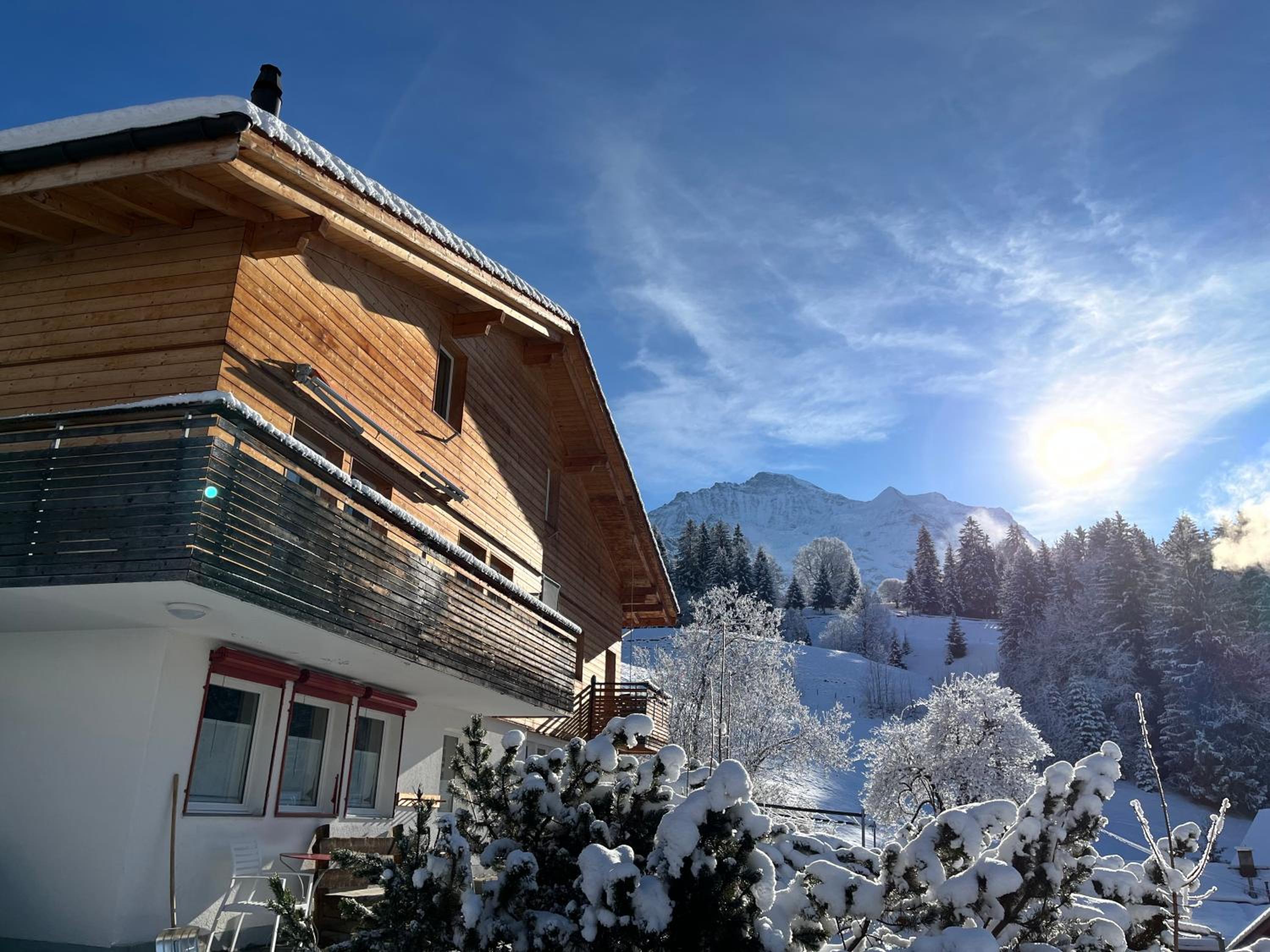 Chalet Viola view 5