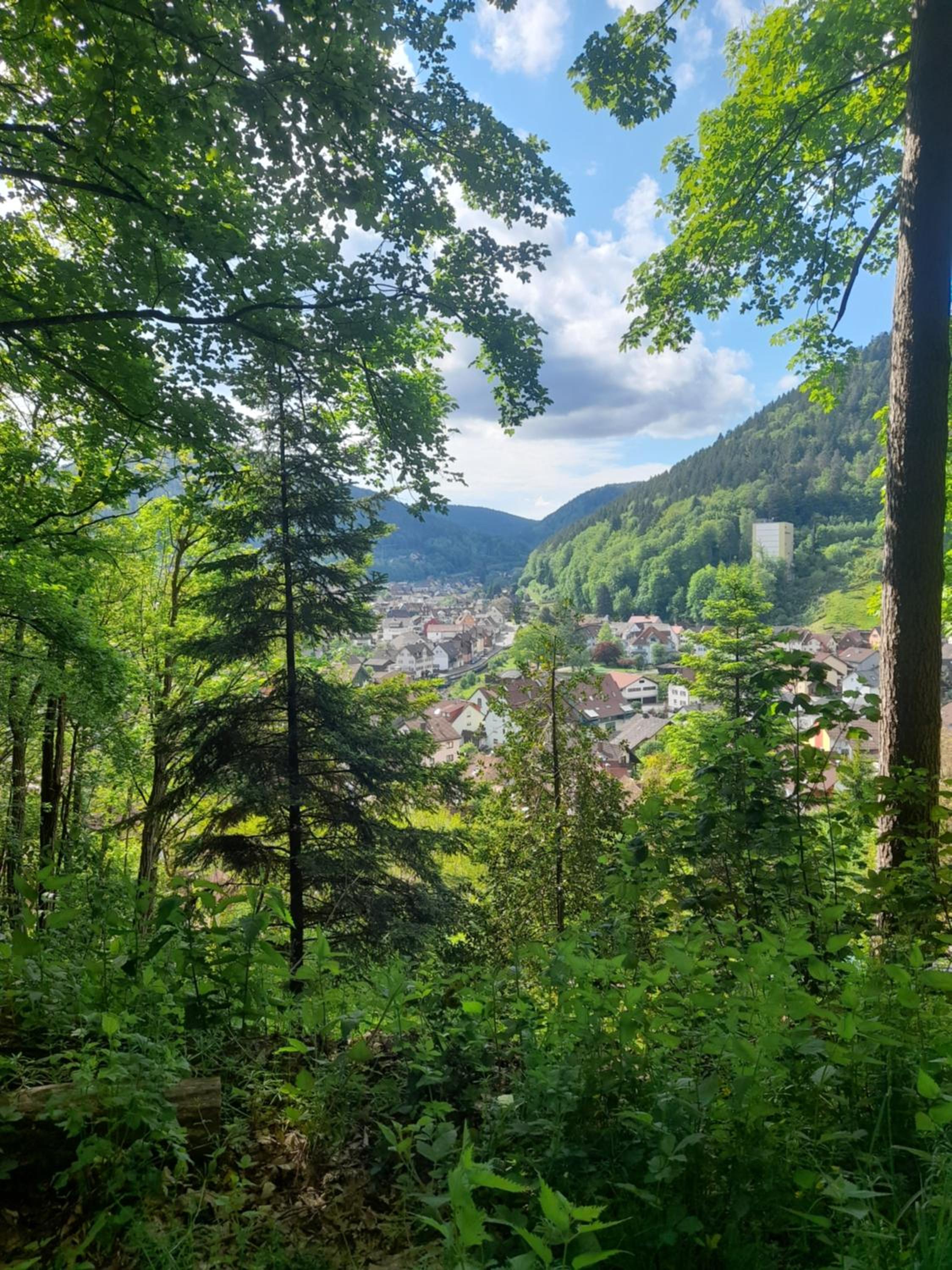 Ferienwohnung am Enzufer mit Wintergarten Bad Wildbad im Schwarzwald