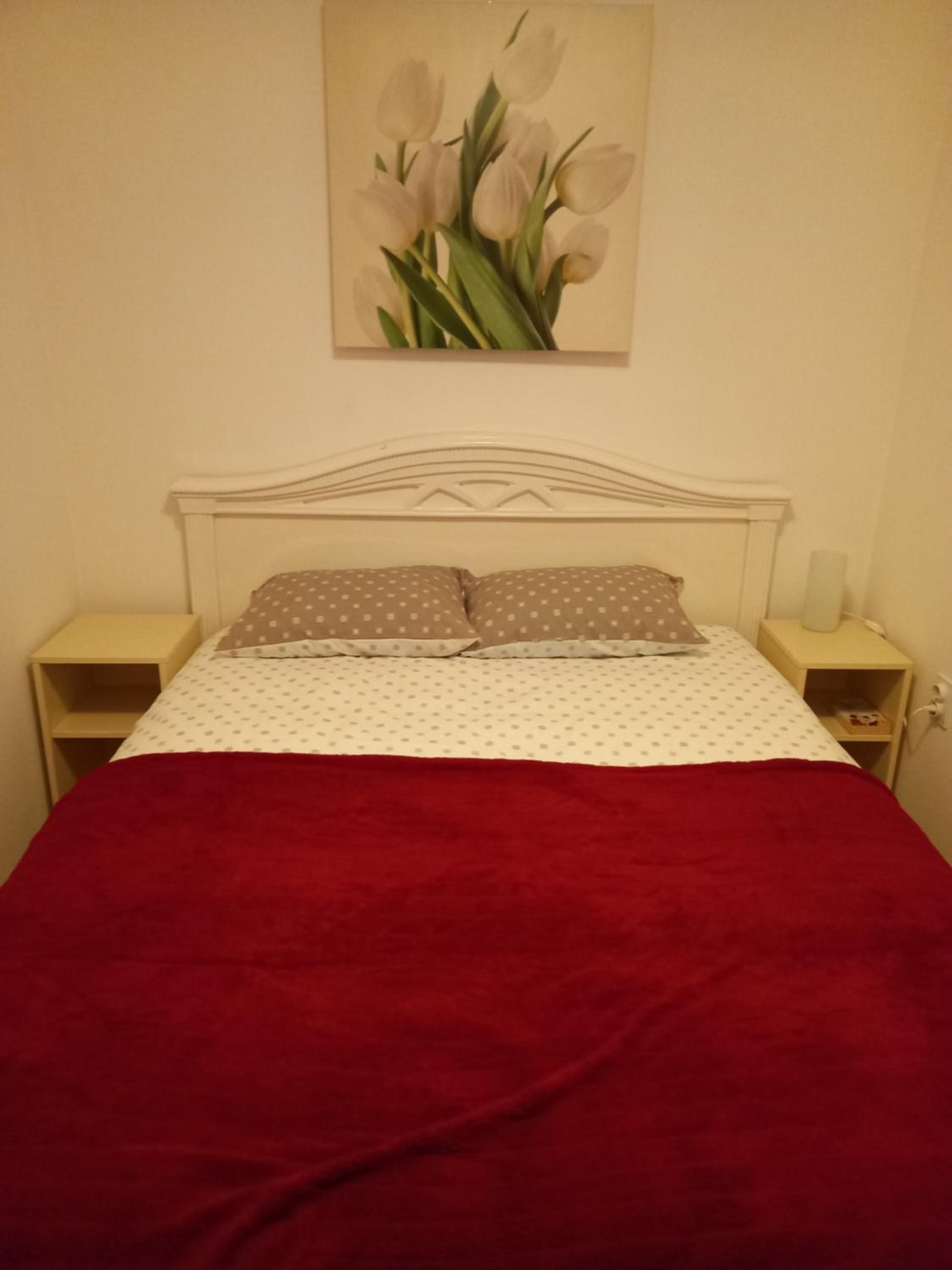 Bjelasica Home