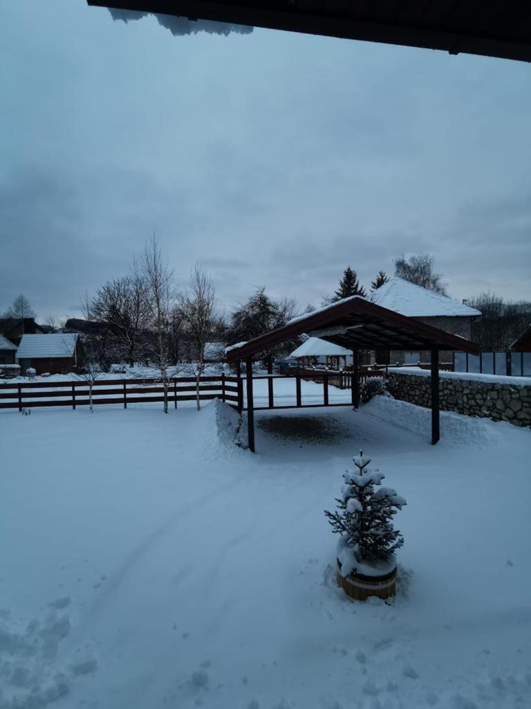 Bjelasica Home