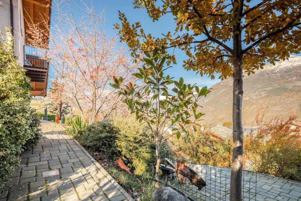B&B Ambrosia view 5