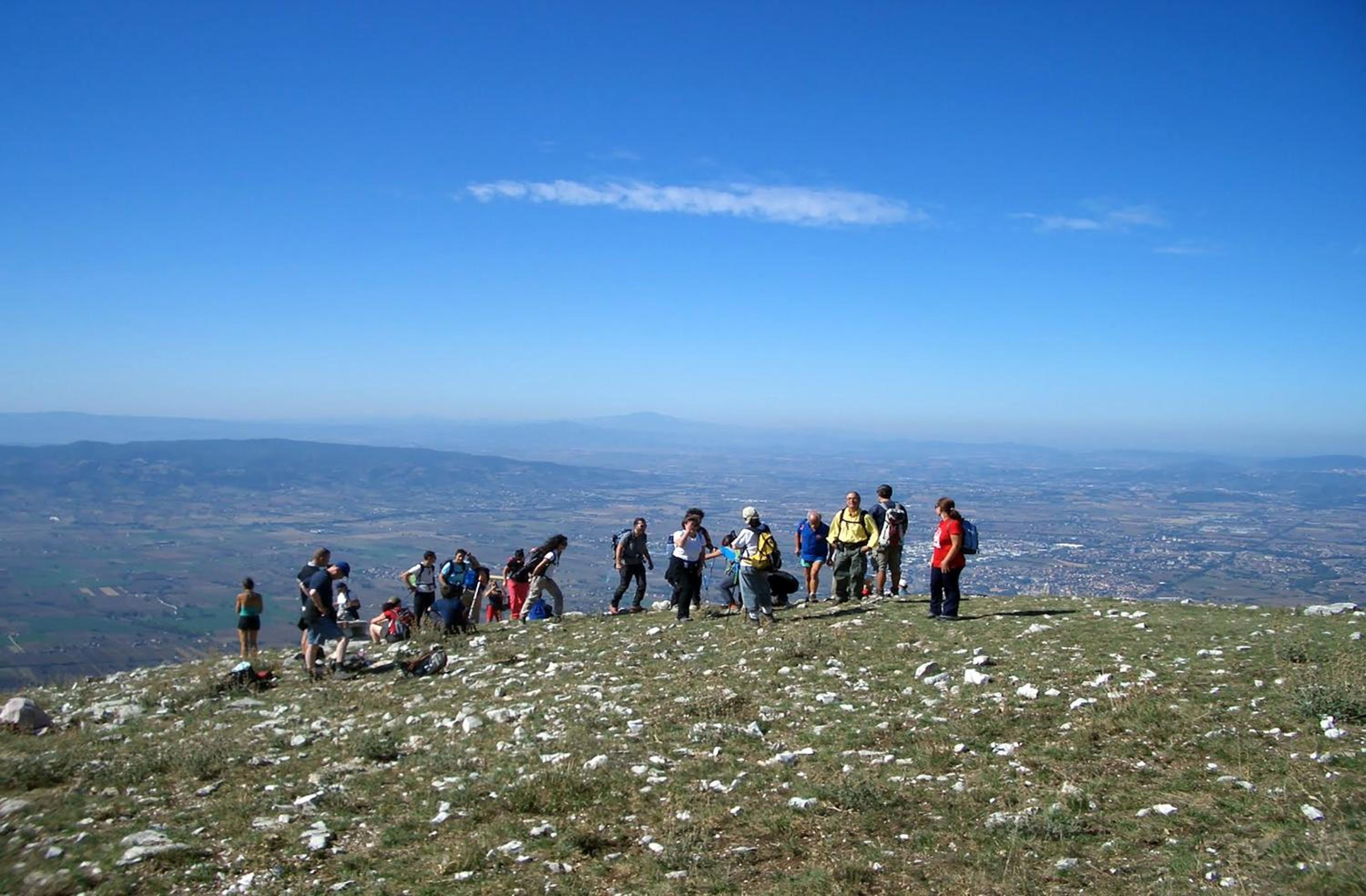 Photo 44
