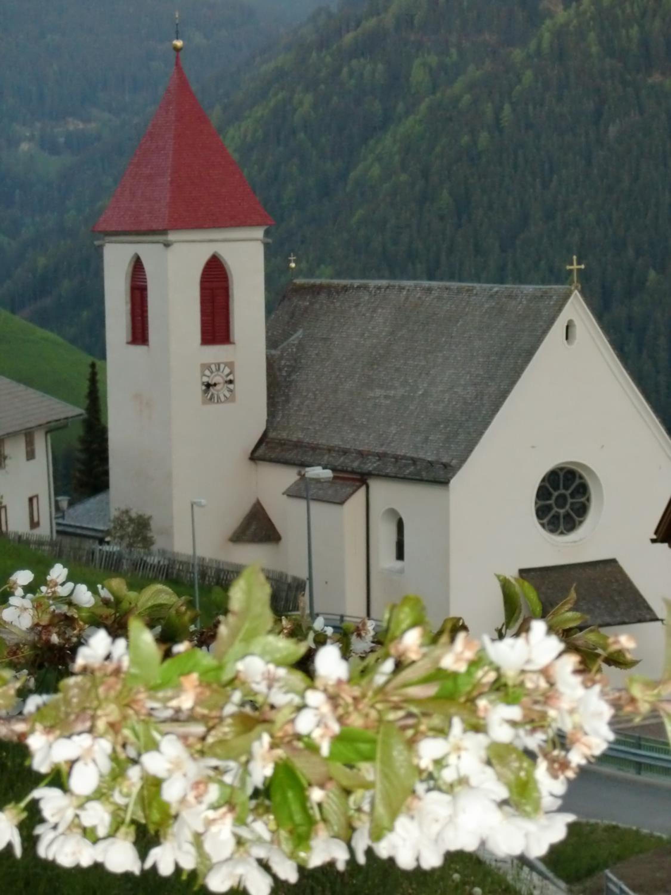 MOUNTAIN RESIDENCE ALPENHOF - company Hotel Alpenhof KG sas der Gasser Renate