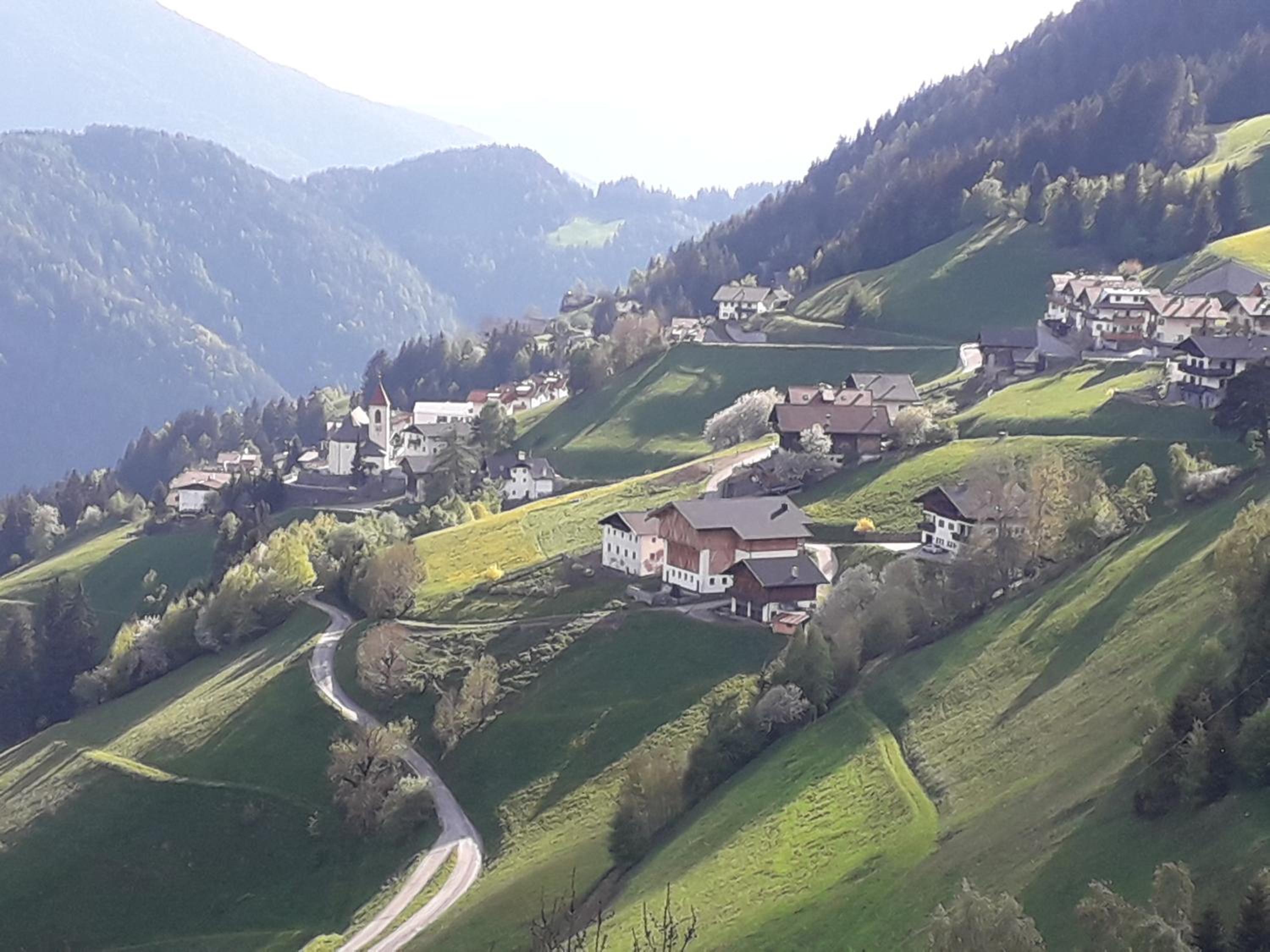 MOUNTAIN RESIDENCE ALPENHOF - company Hotel Alpenhof KG sas der Gasser Renate