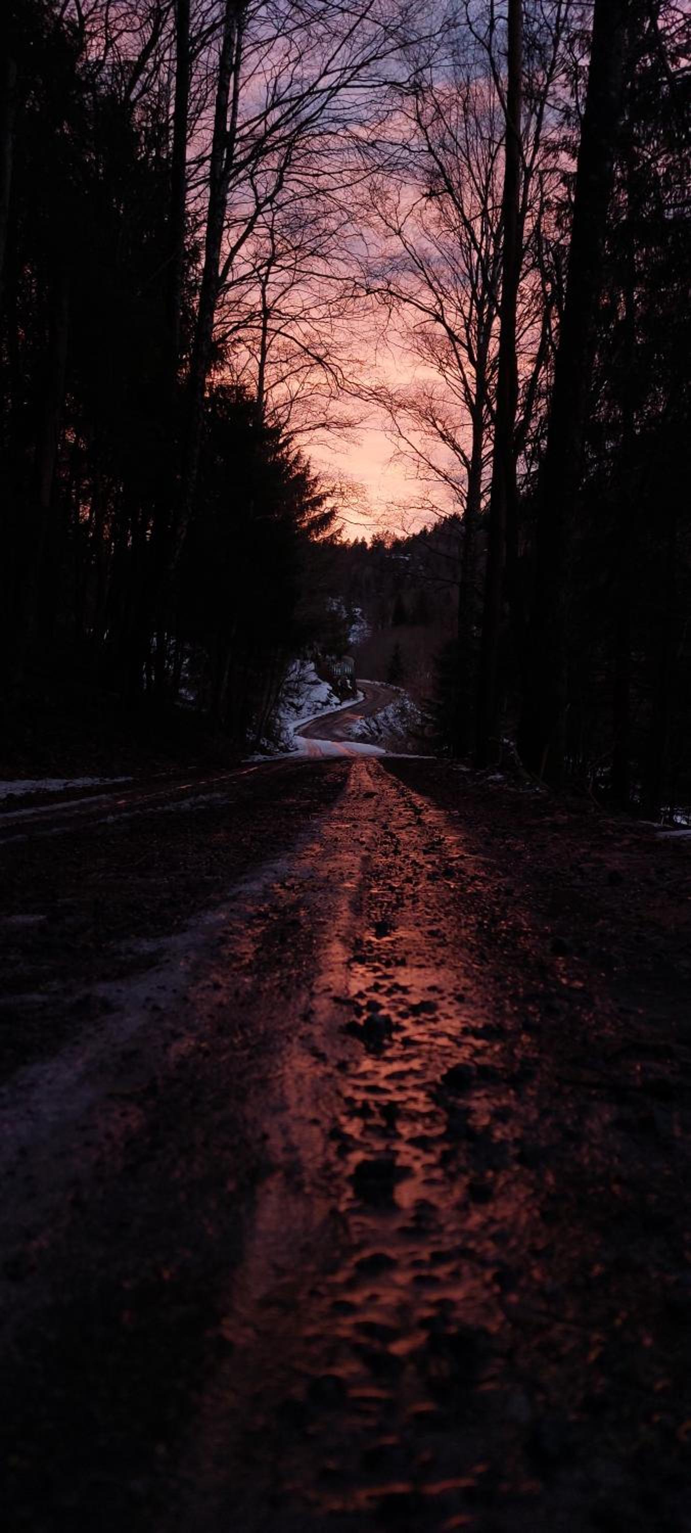 In Love With Norway
