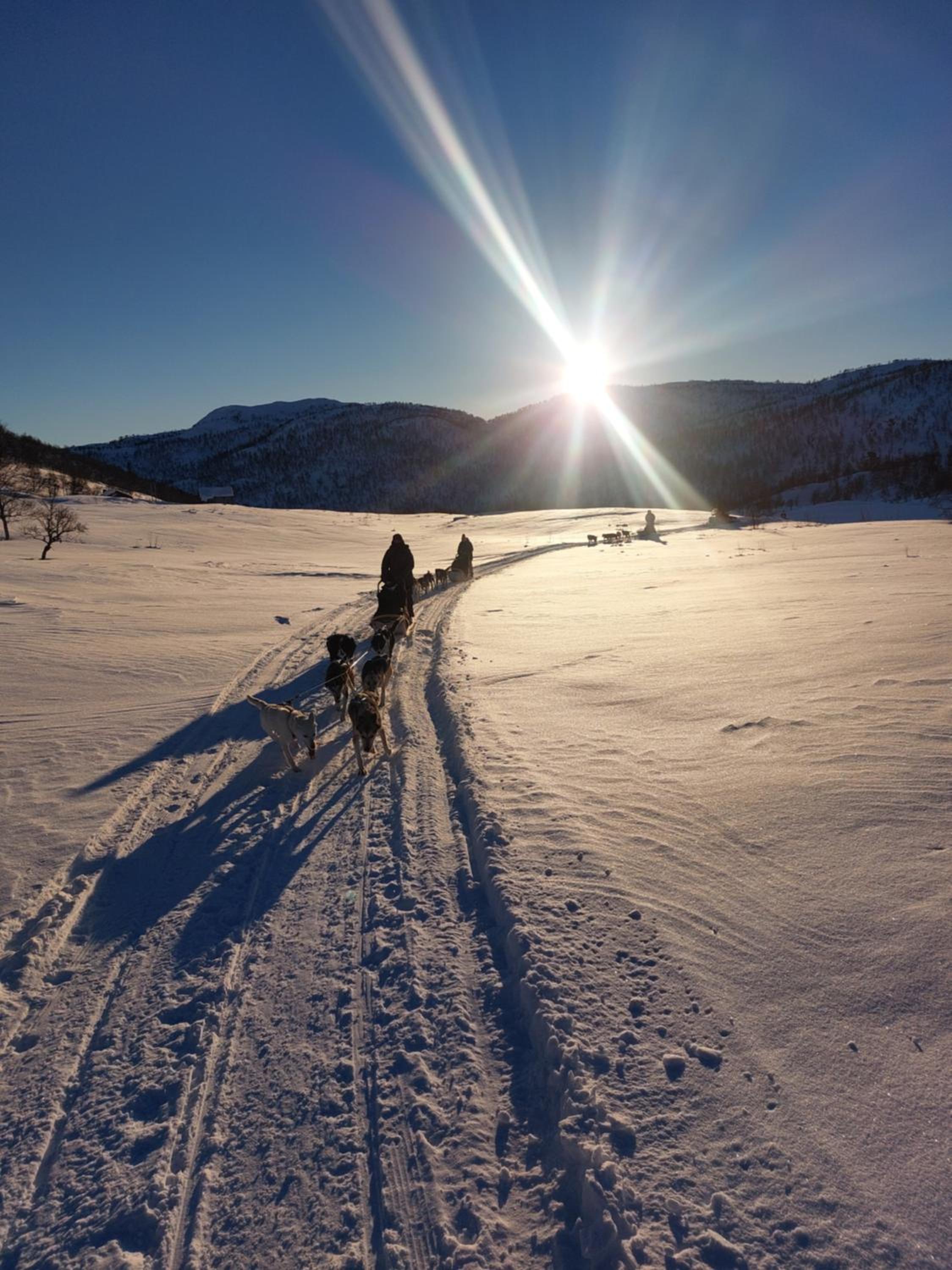 In Love With Norway