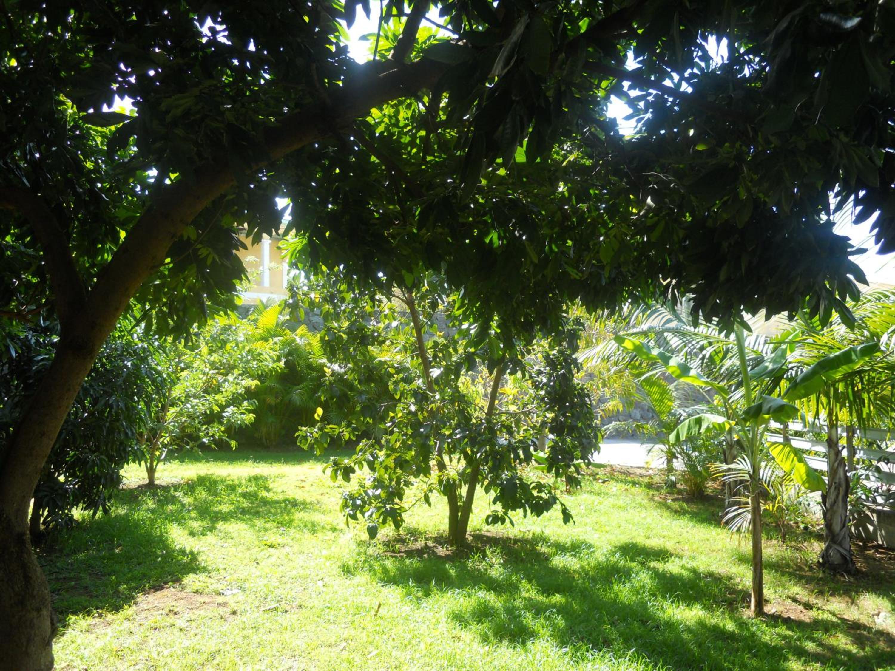 Photo 43