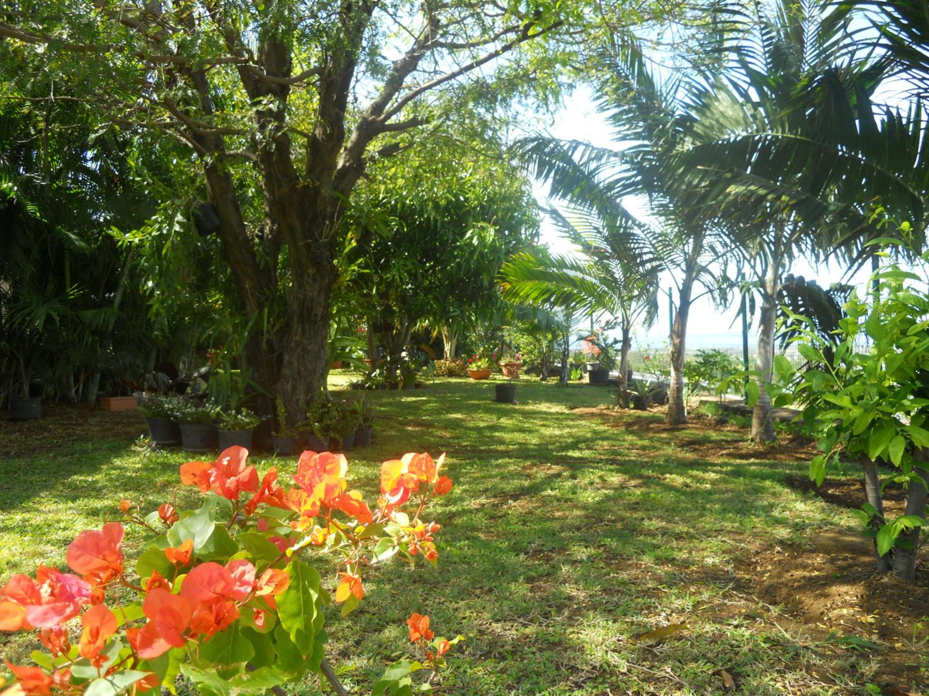 Photo 44