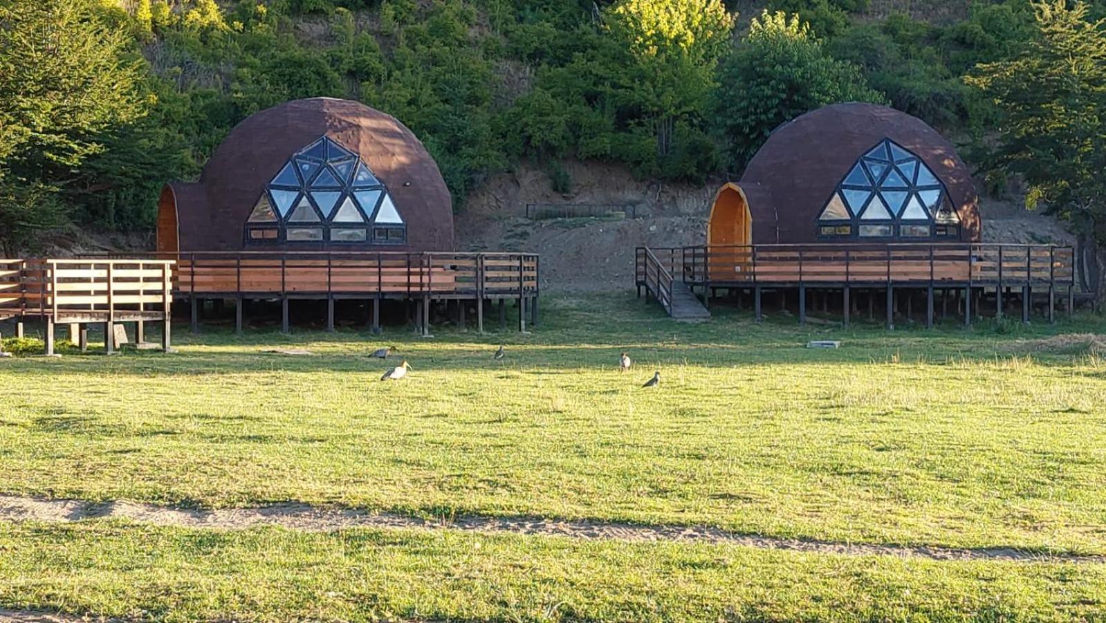 Aysén Domos-Cabañas tipo Domo