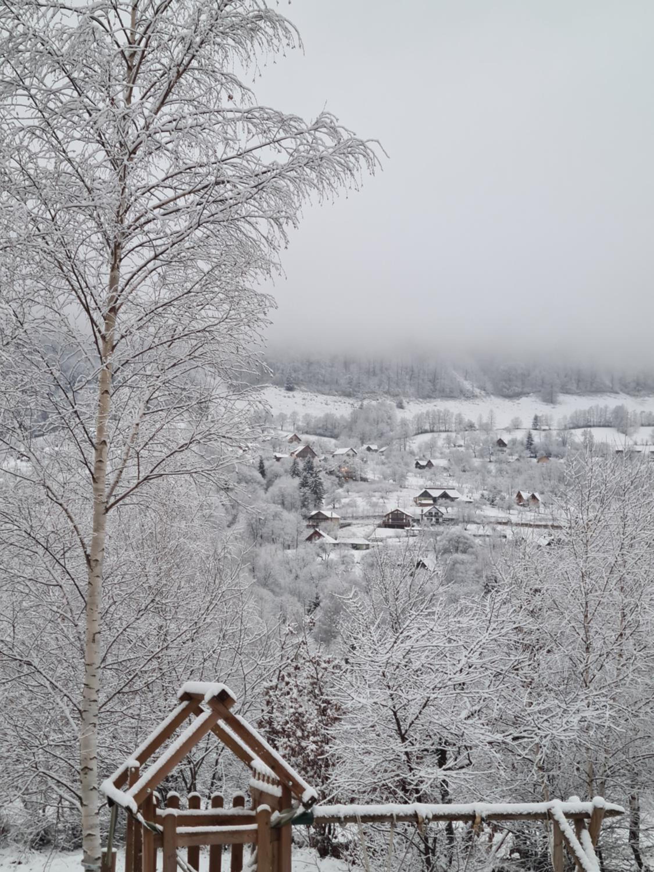 Bran Mountain Living
