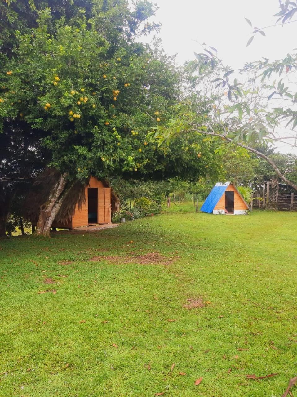Finca Alto Bonito