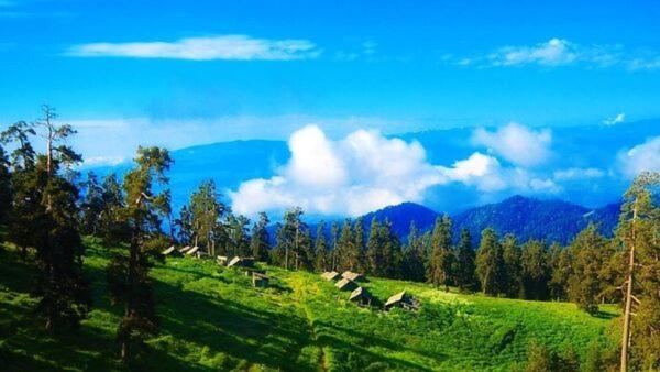 Photo 45