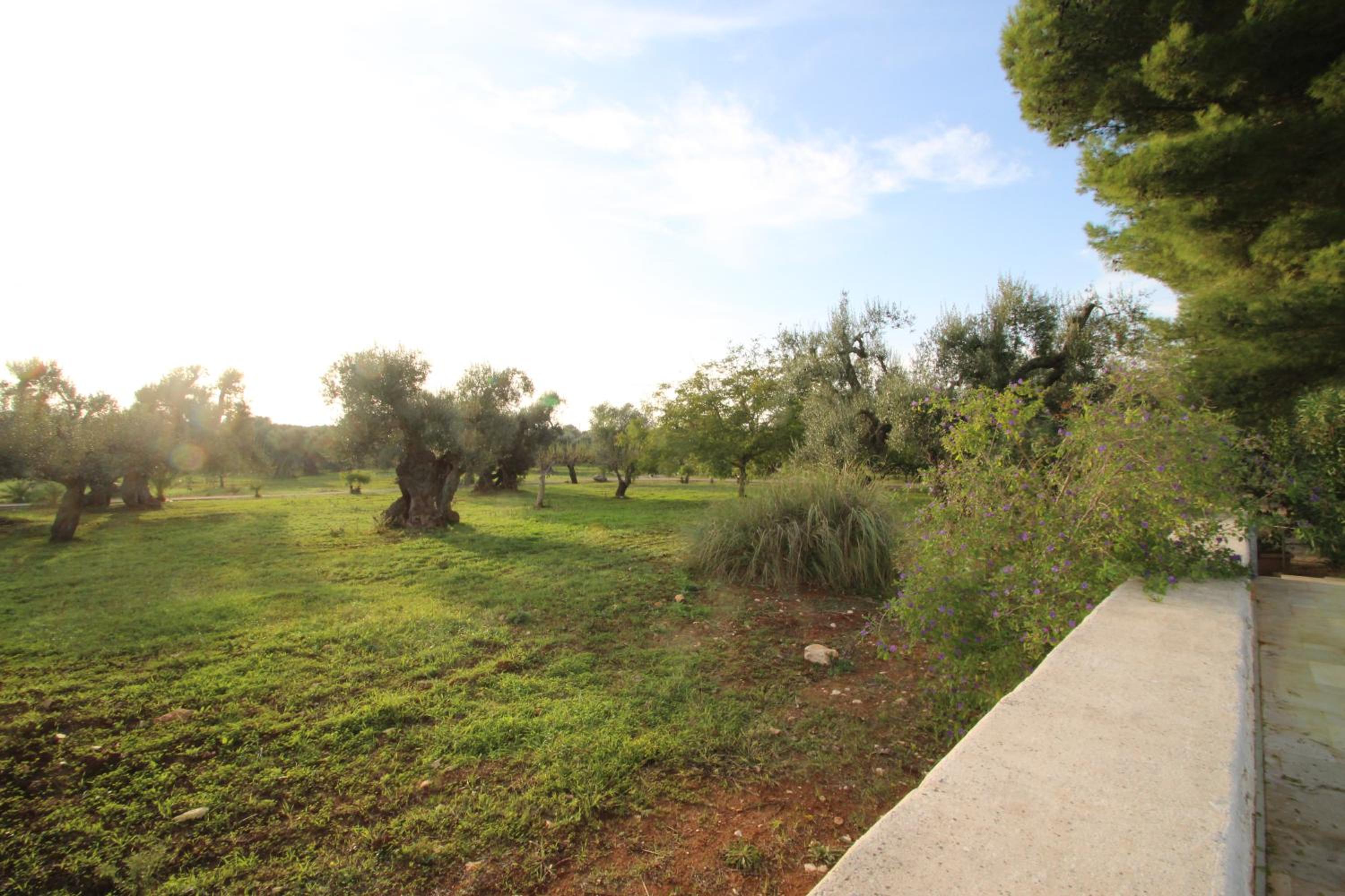 Photo 40