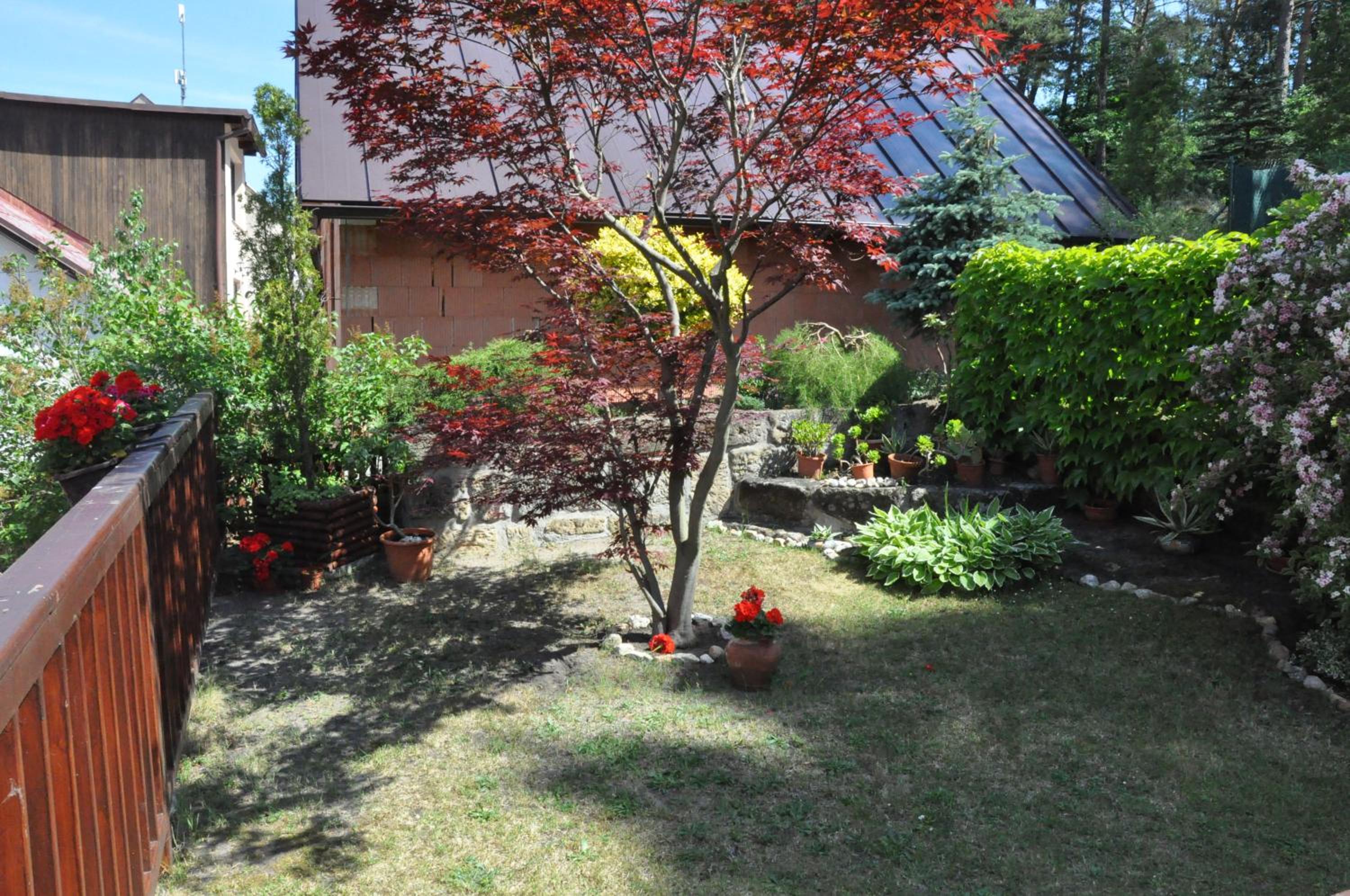 Photo 53