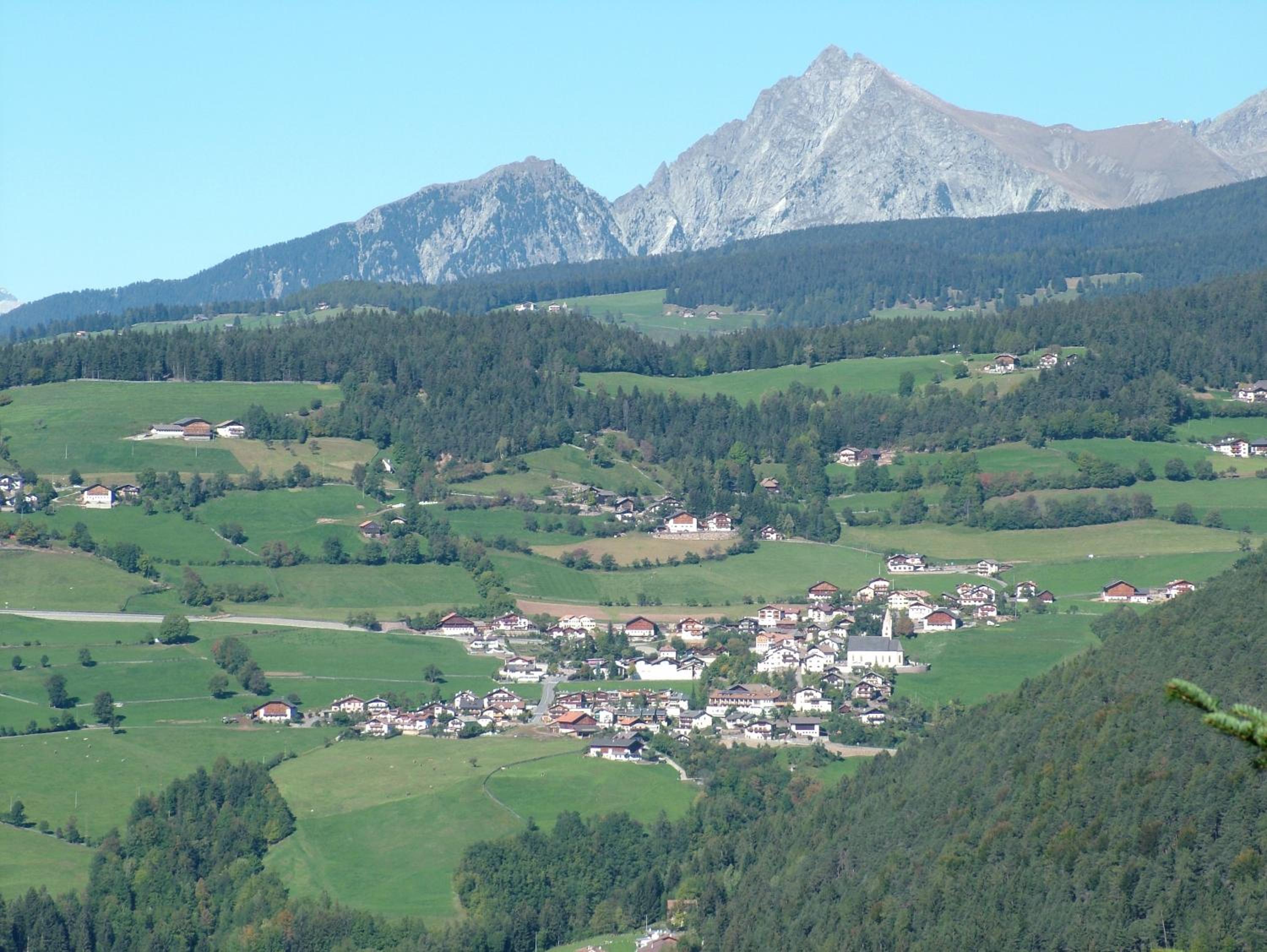 Lingerhof Enzian
