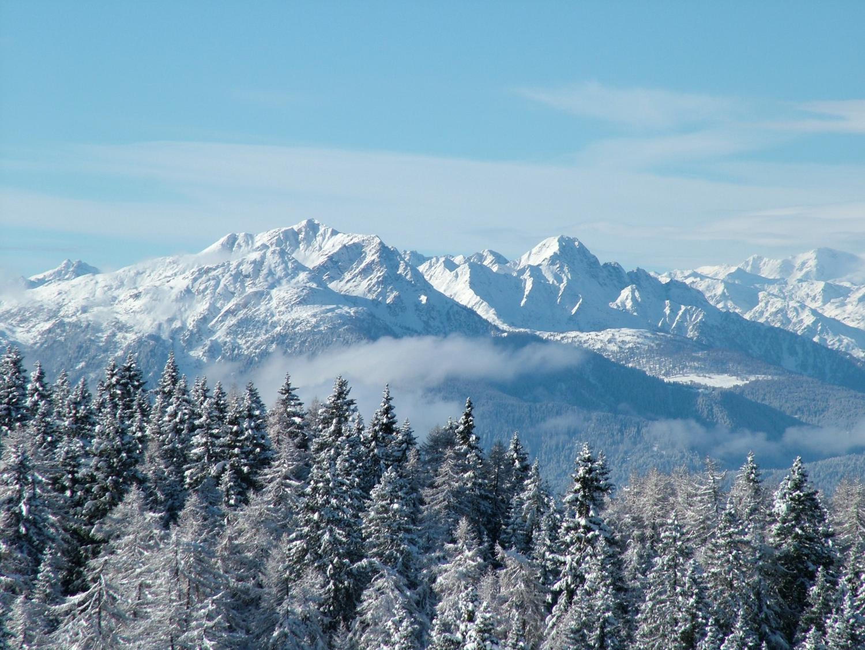 Lingerhof Alpenrose