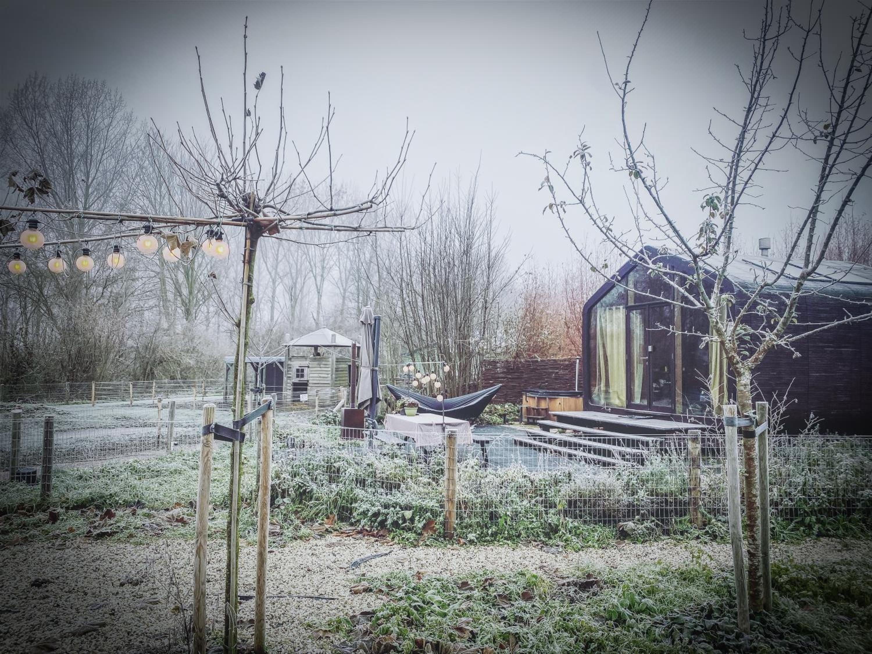 Bed & Wellness Pigs and Pillows with private hottub and sauna and tandembike rental included in price near Amsterdam