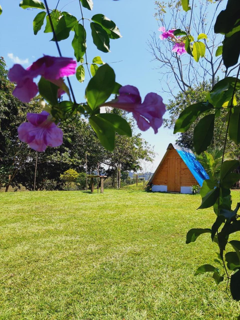 Finca Alto Bonito