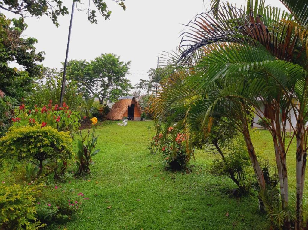 Finca Alto Bonito