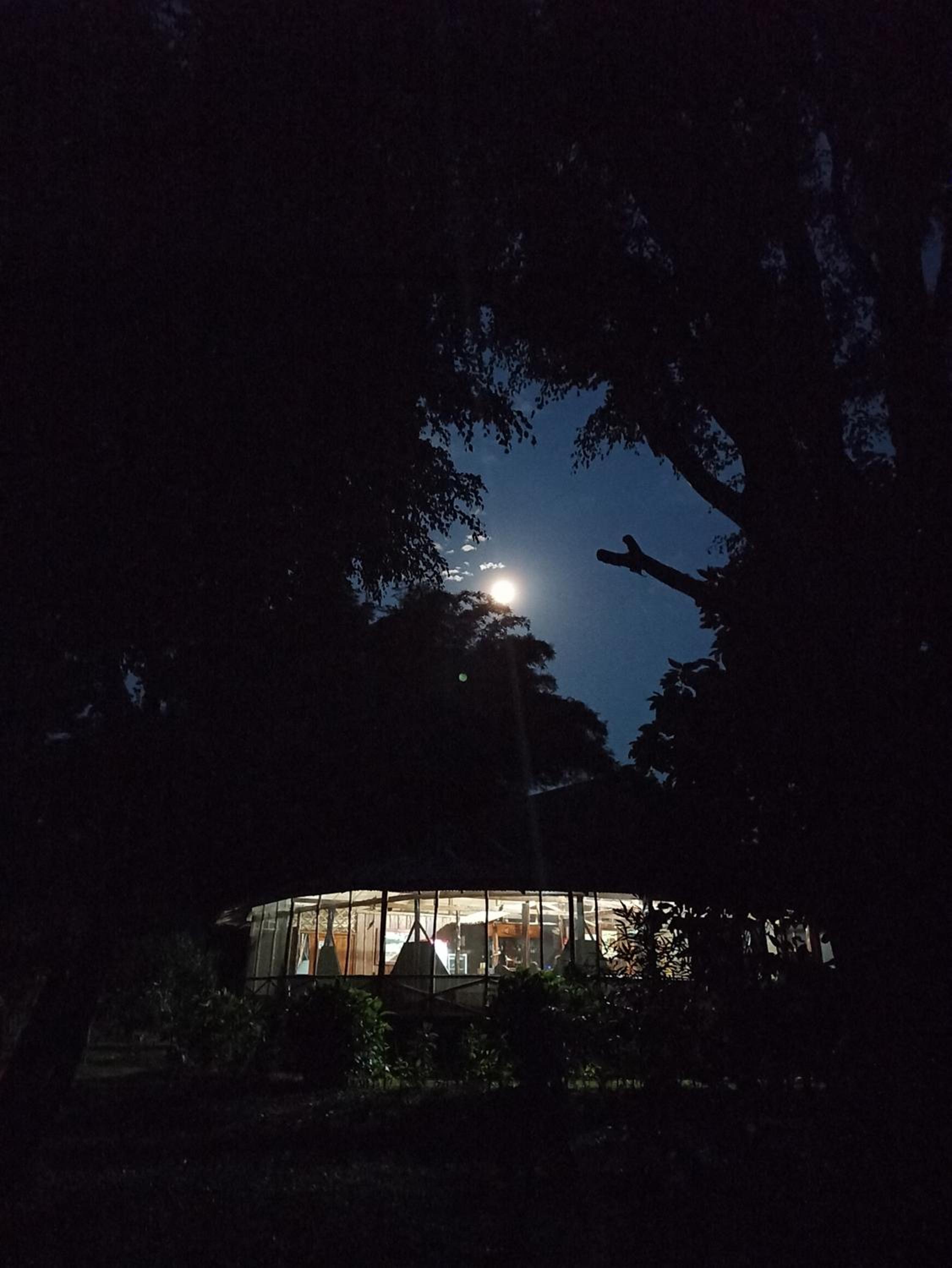 Mariana Miller Lodge