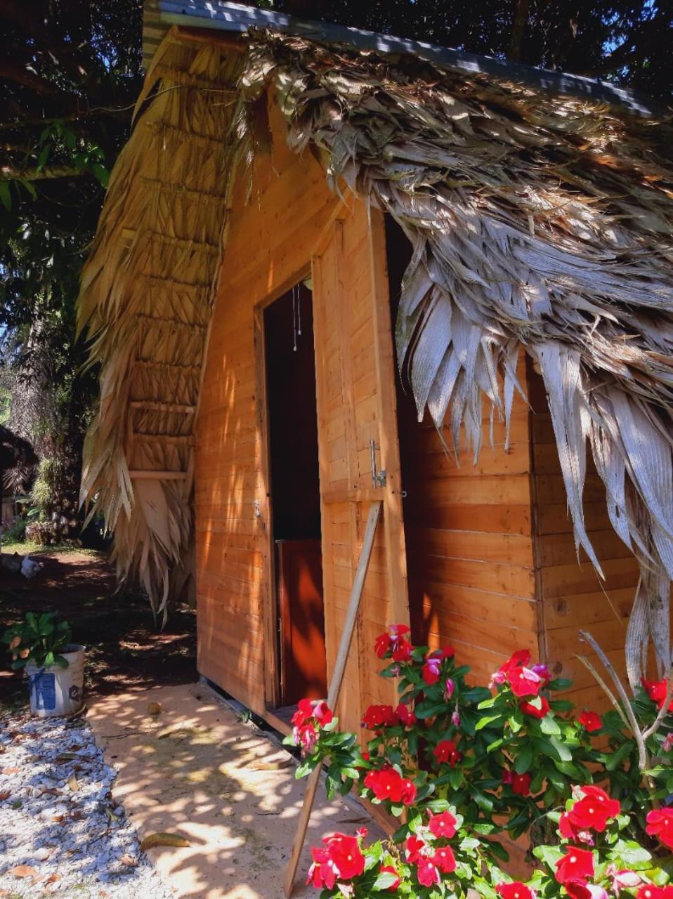 Finca Alto Bonito