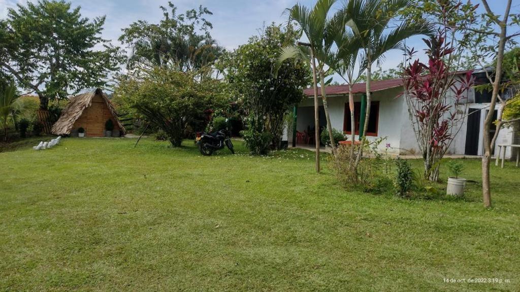 Finca Alto Bonito