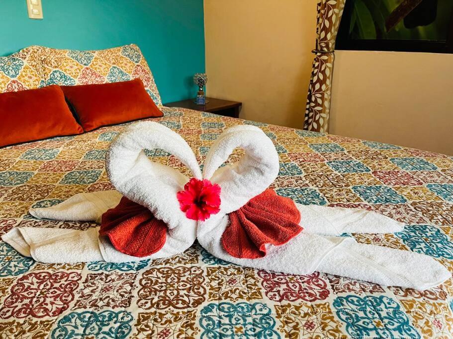 TucanTico Lodge - Monteverde