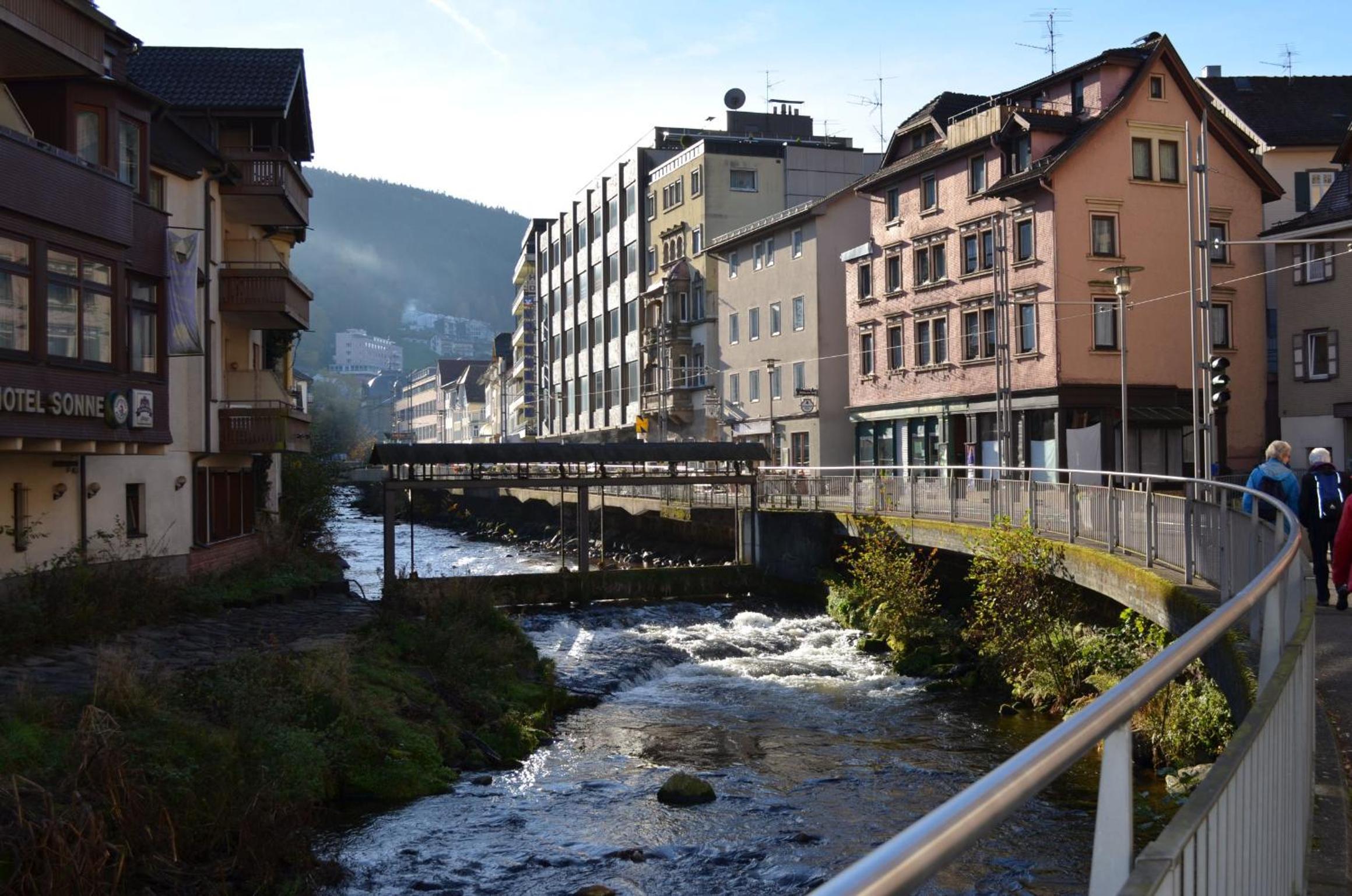 Ferienwohnung Wildbad Süd