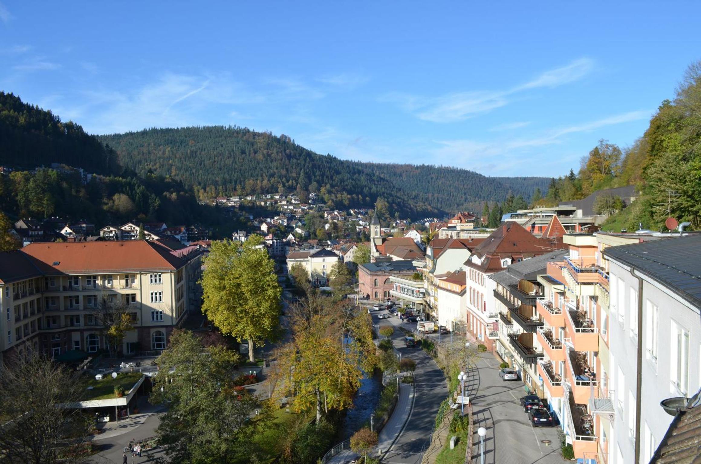 Ferienwohnung Wildbad Süd