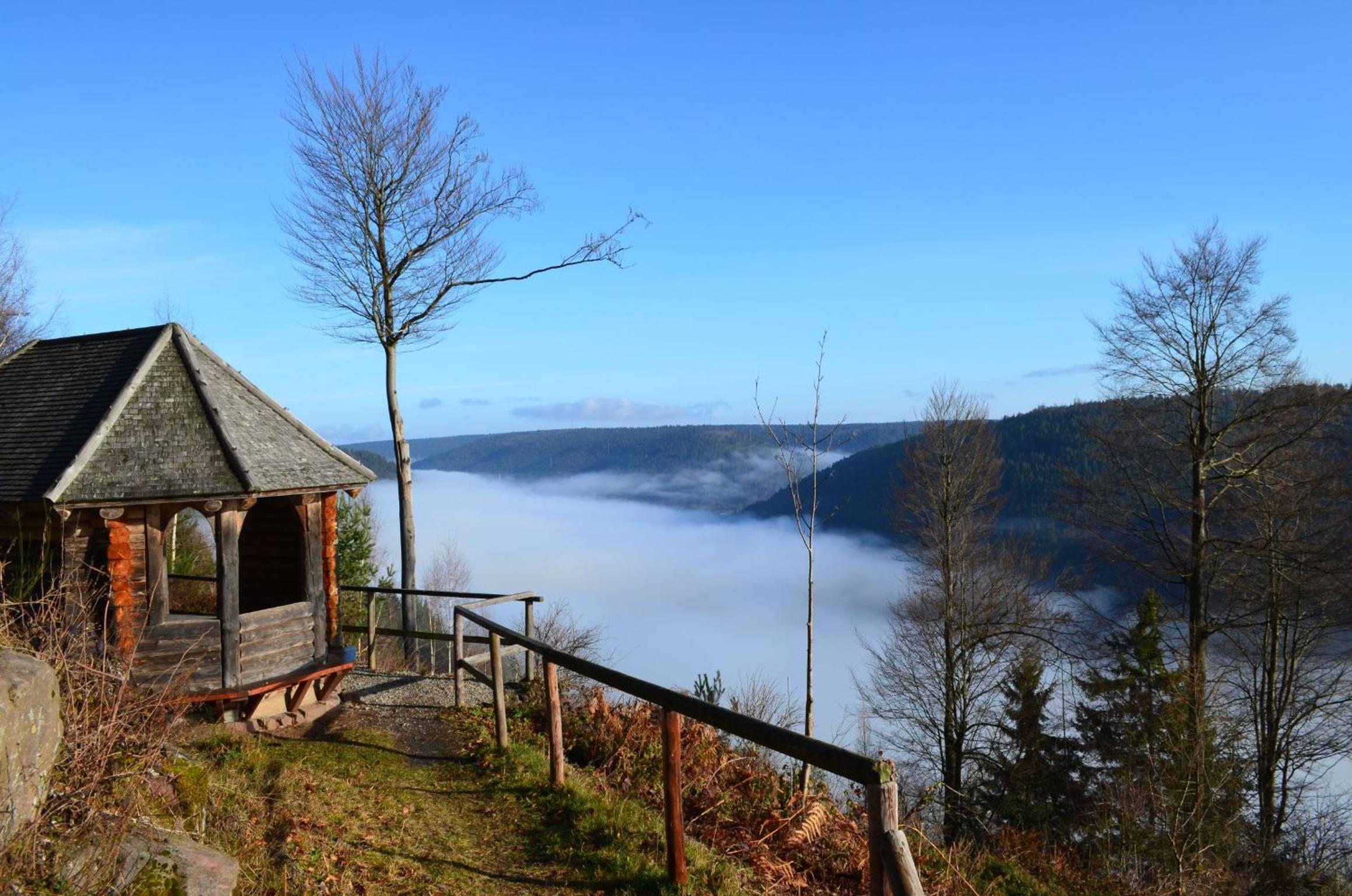 Ferienwohnung Wildbad Süd
