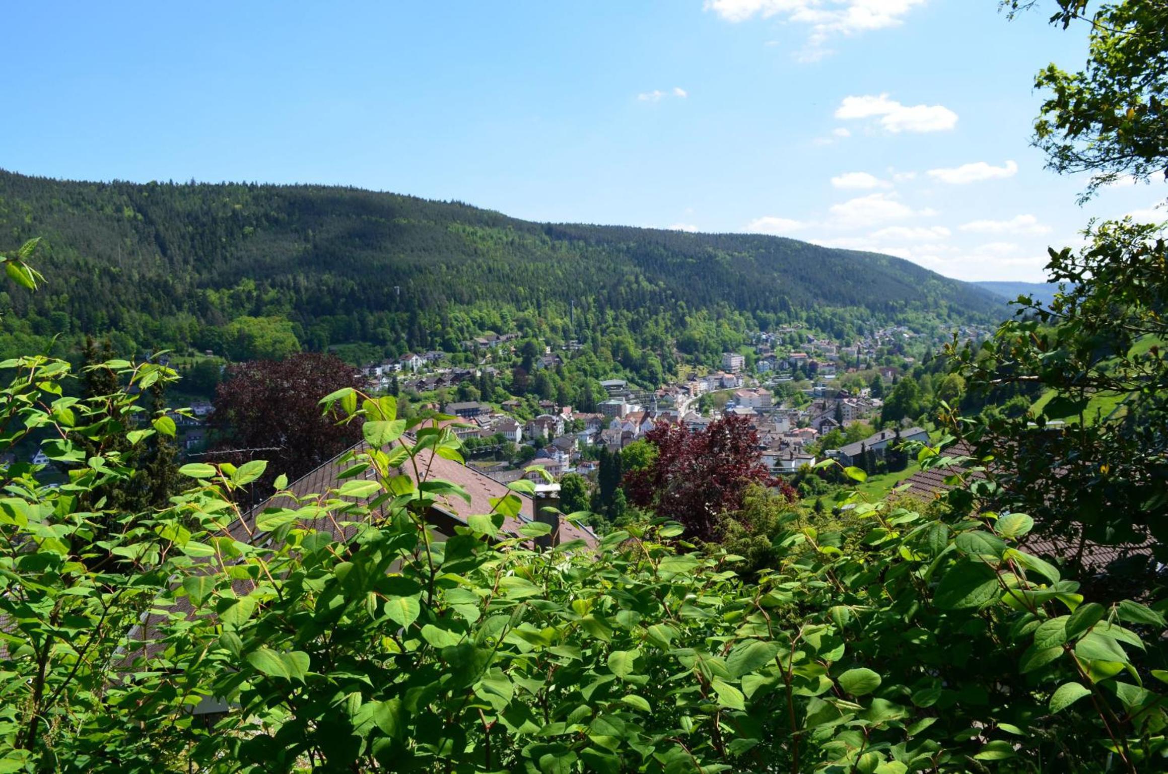 Ferienwohnung Wildbad Süd