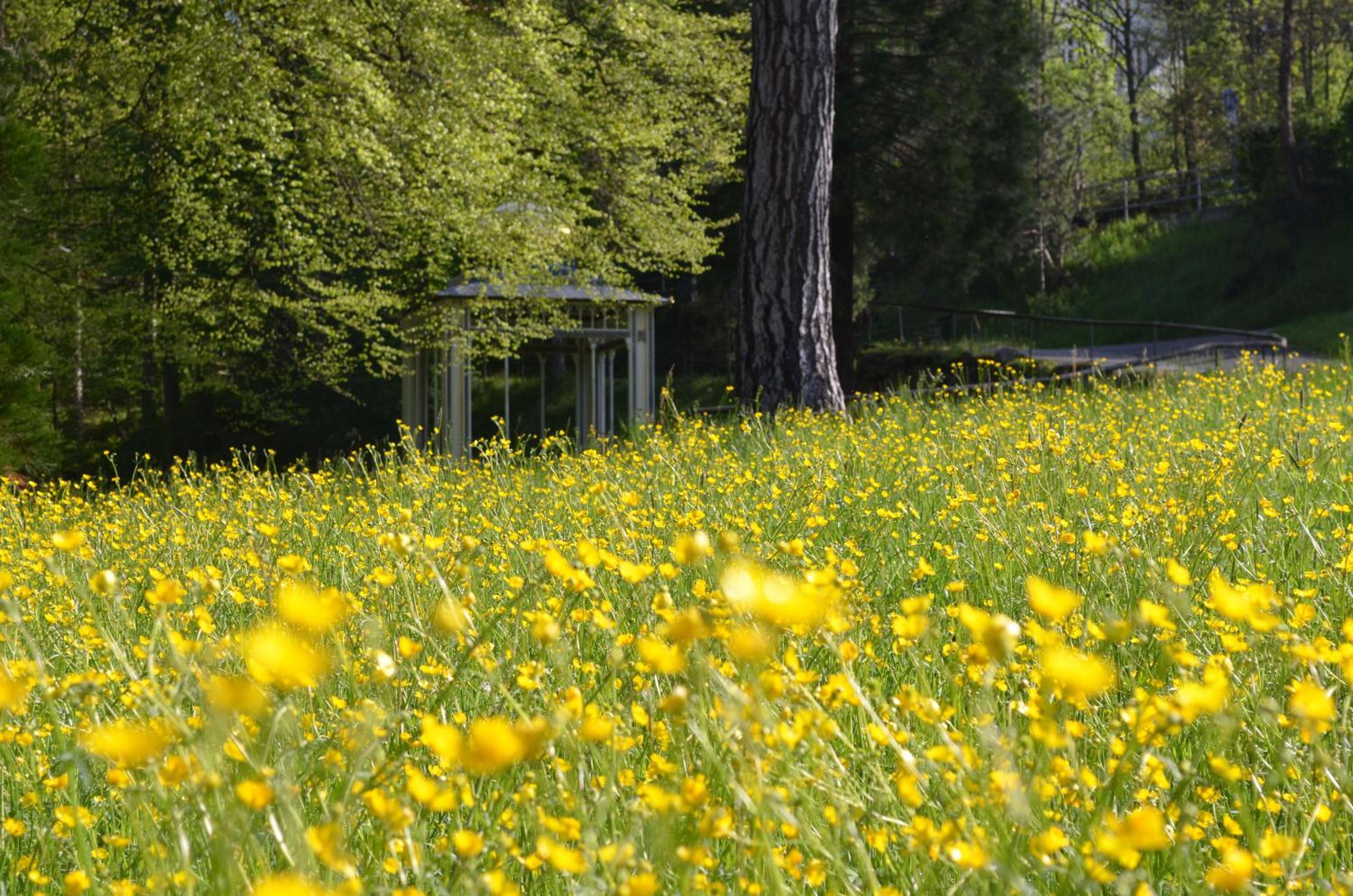 Ferienwohnung Wildbad Süd