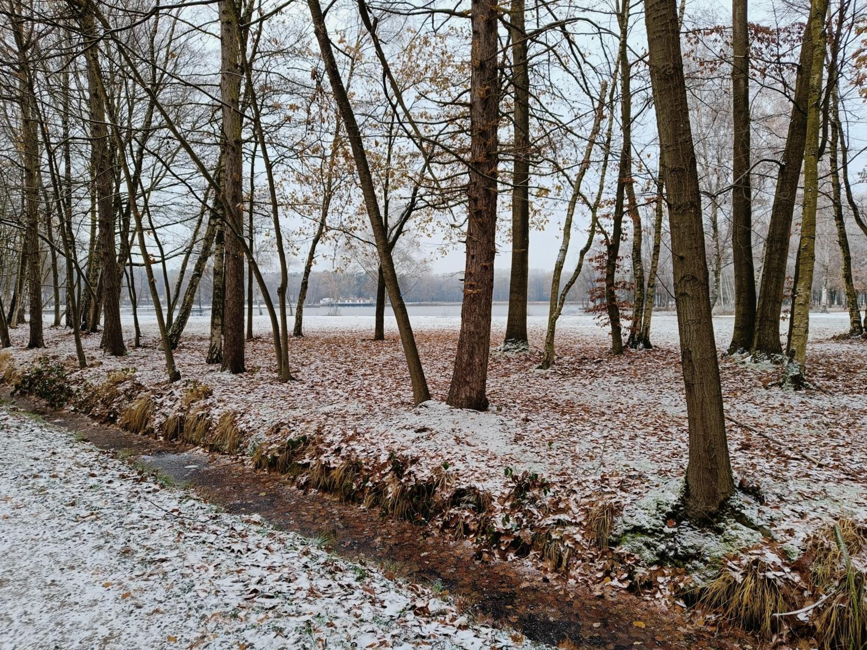 Lauwie 14