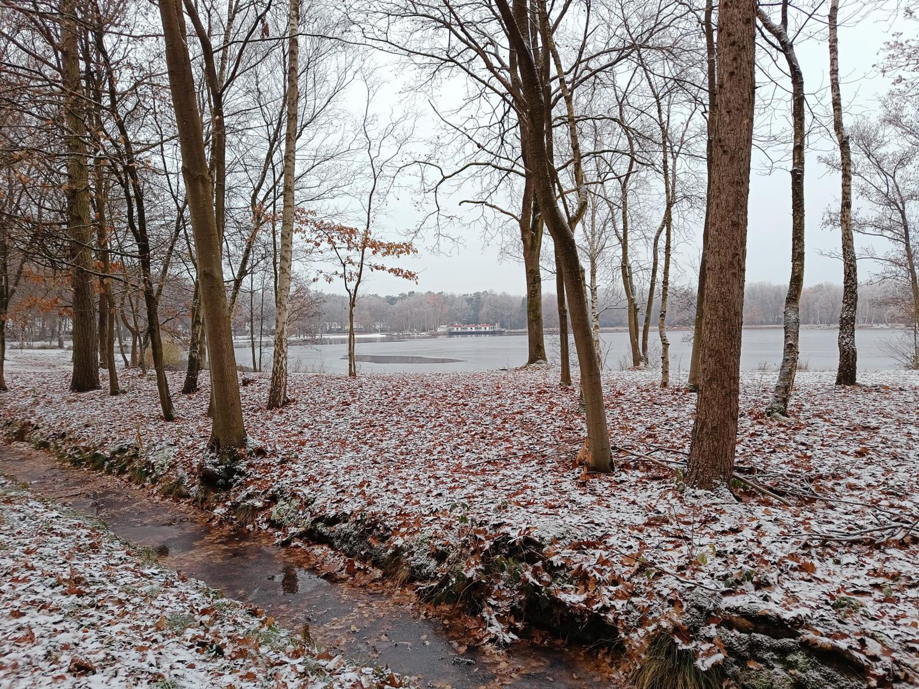 Lauwie 14