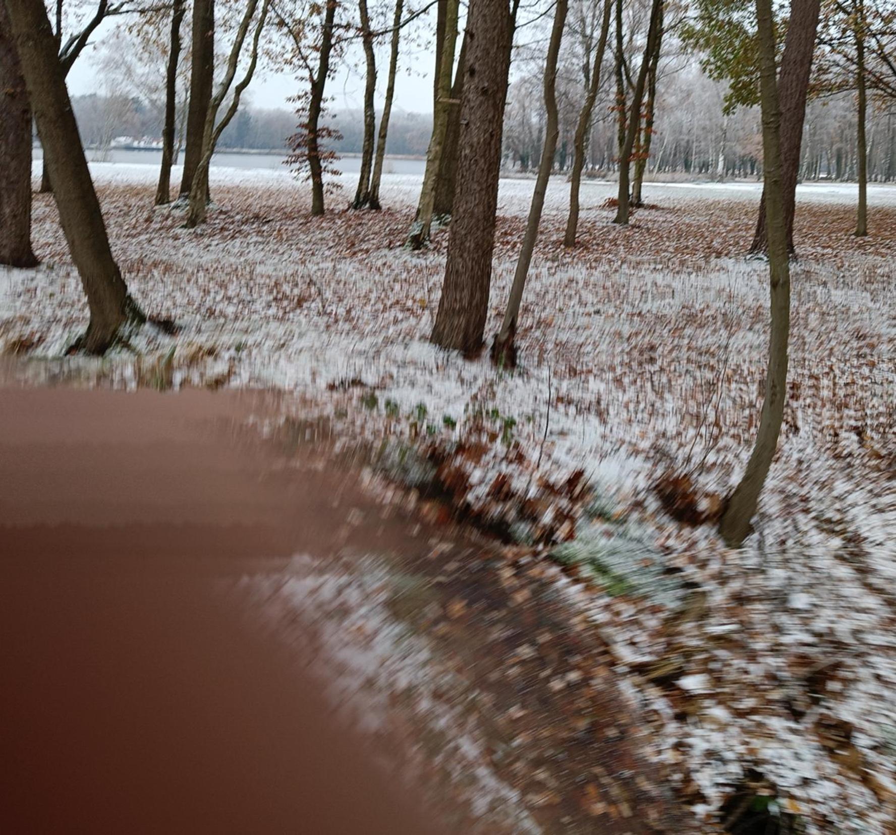 Lauwie 14