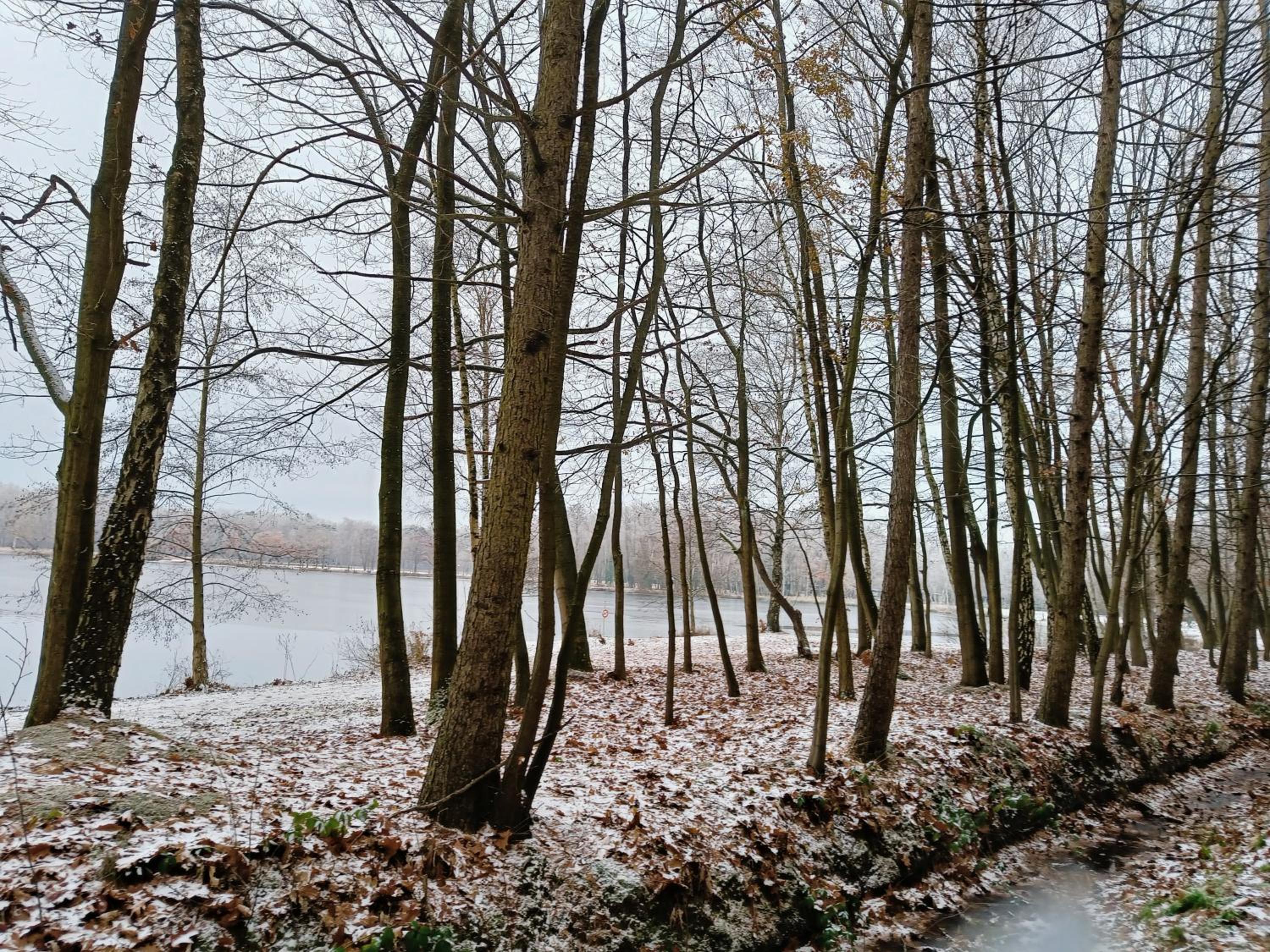 Lauwie 14
