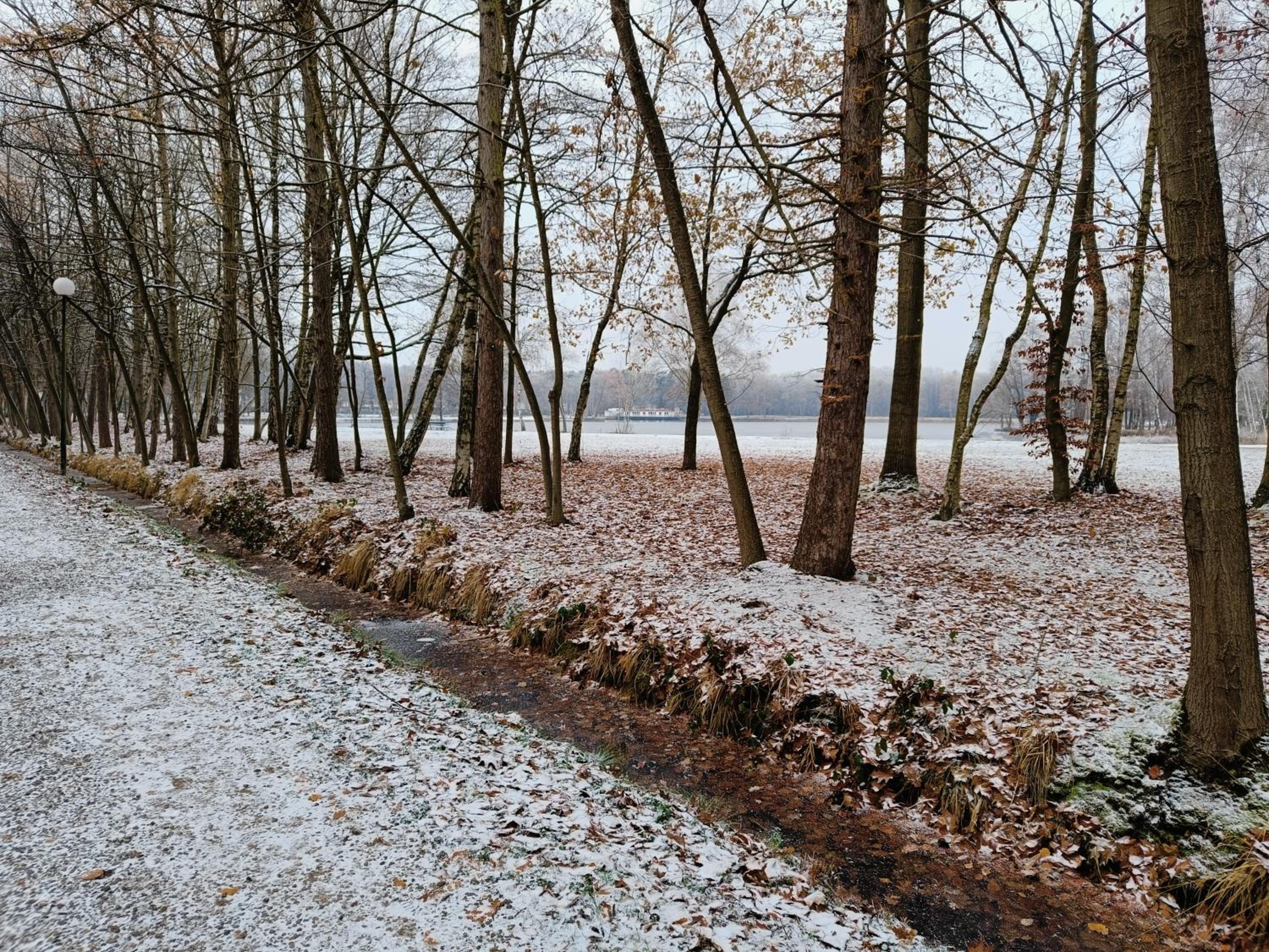 Lauwie 14