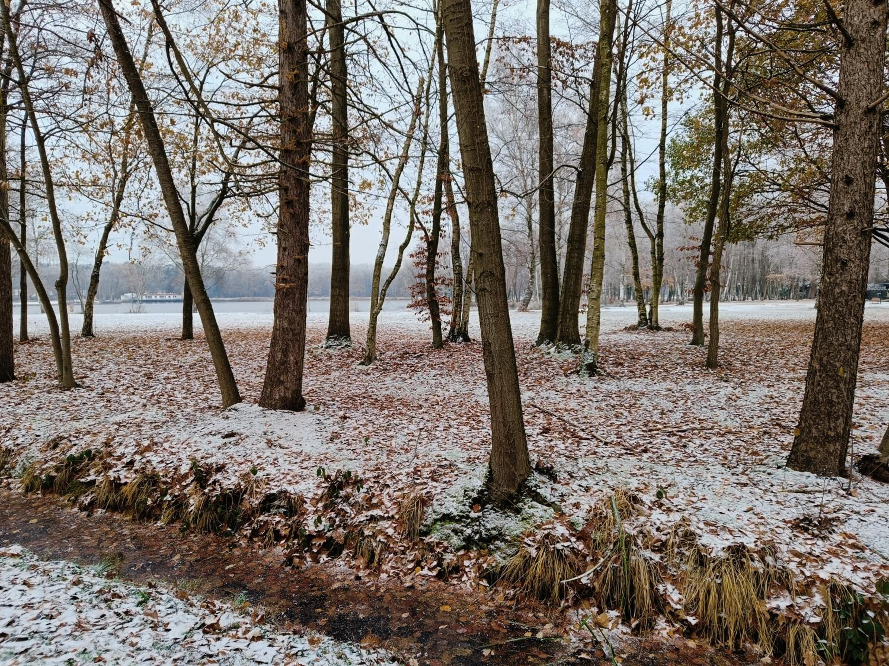 Lauwie 14