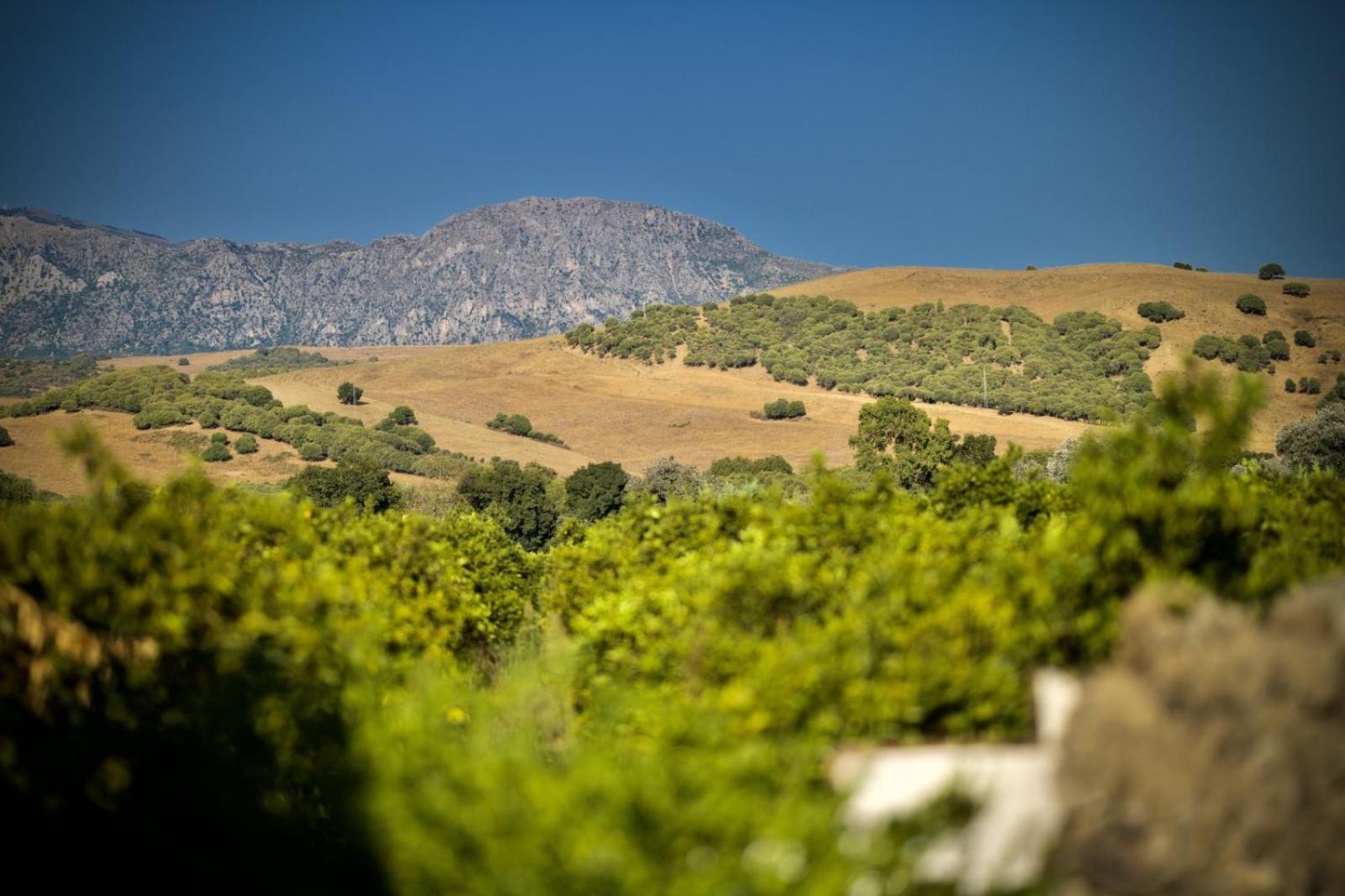 Finca Los Pajaros