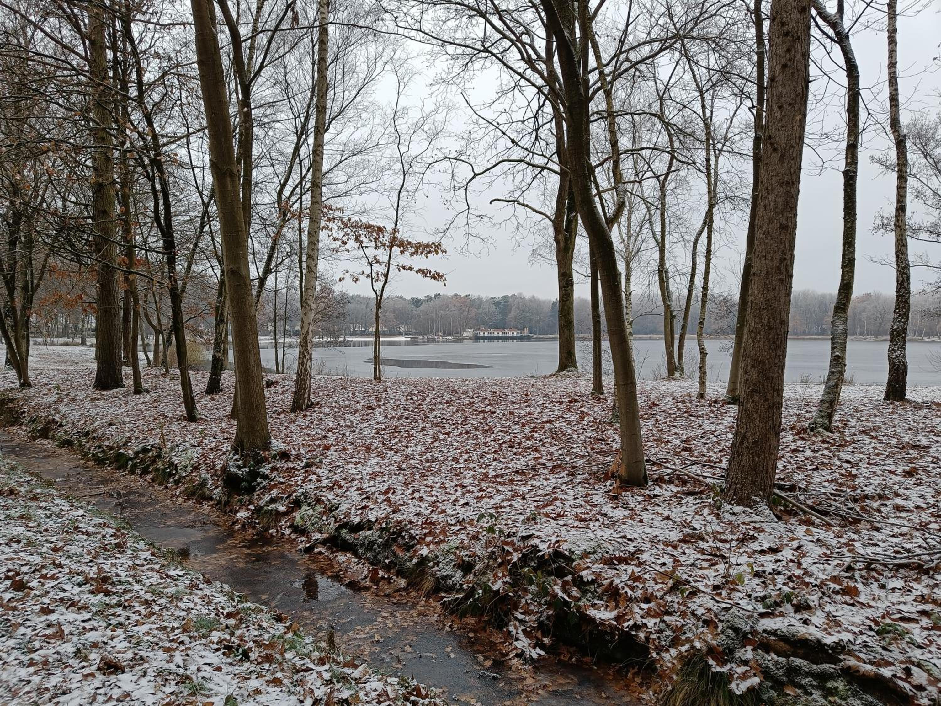 Lauwie 14