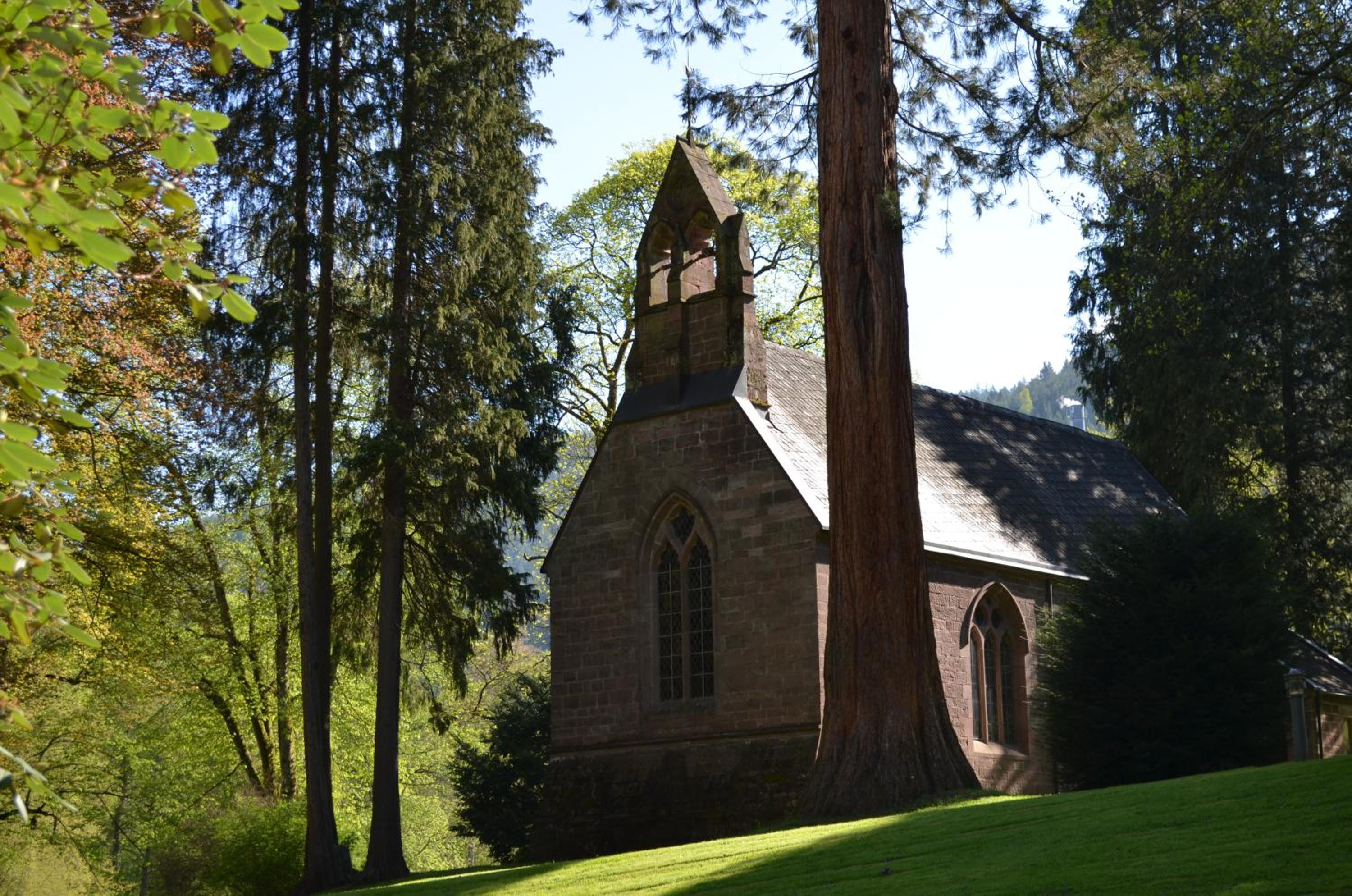 Ferienwohnung Wildbad Süd