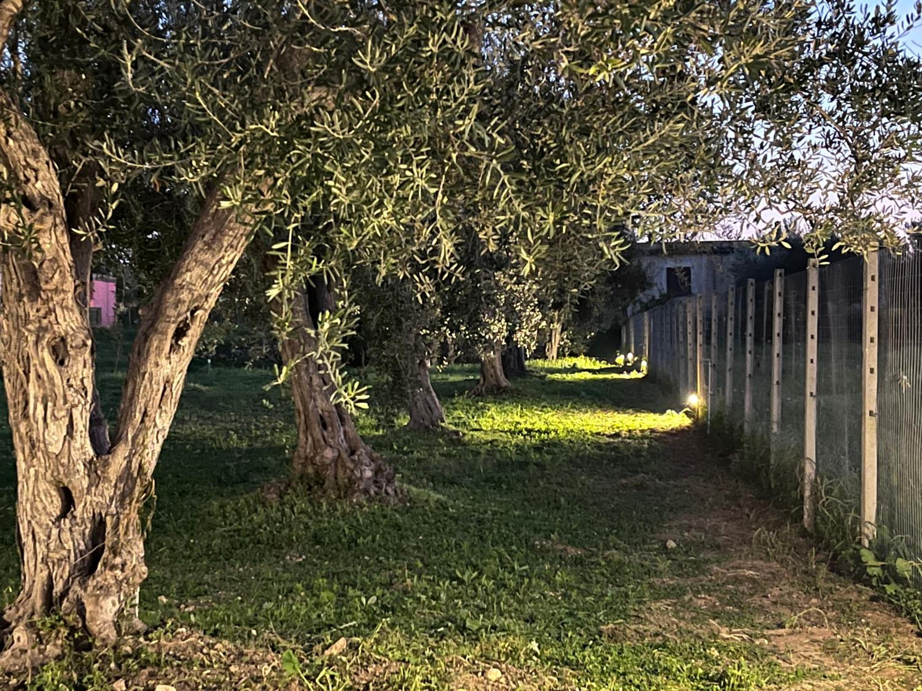 Casa Vacanze Morgana Marzamemi