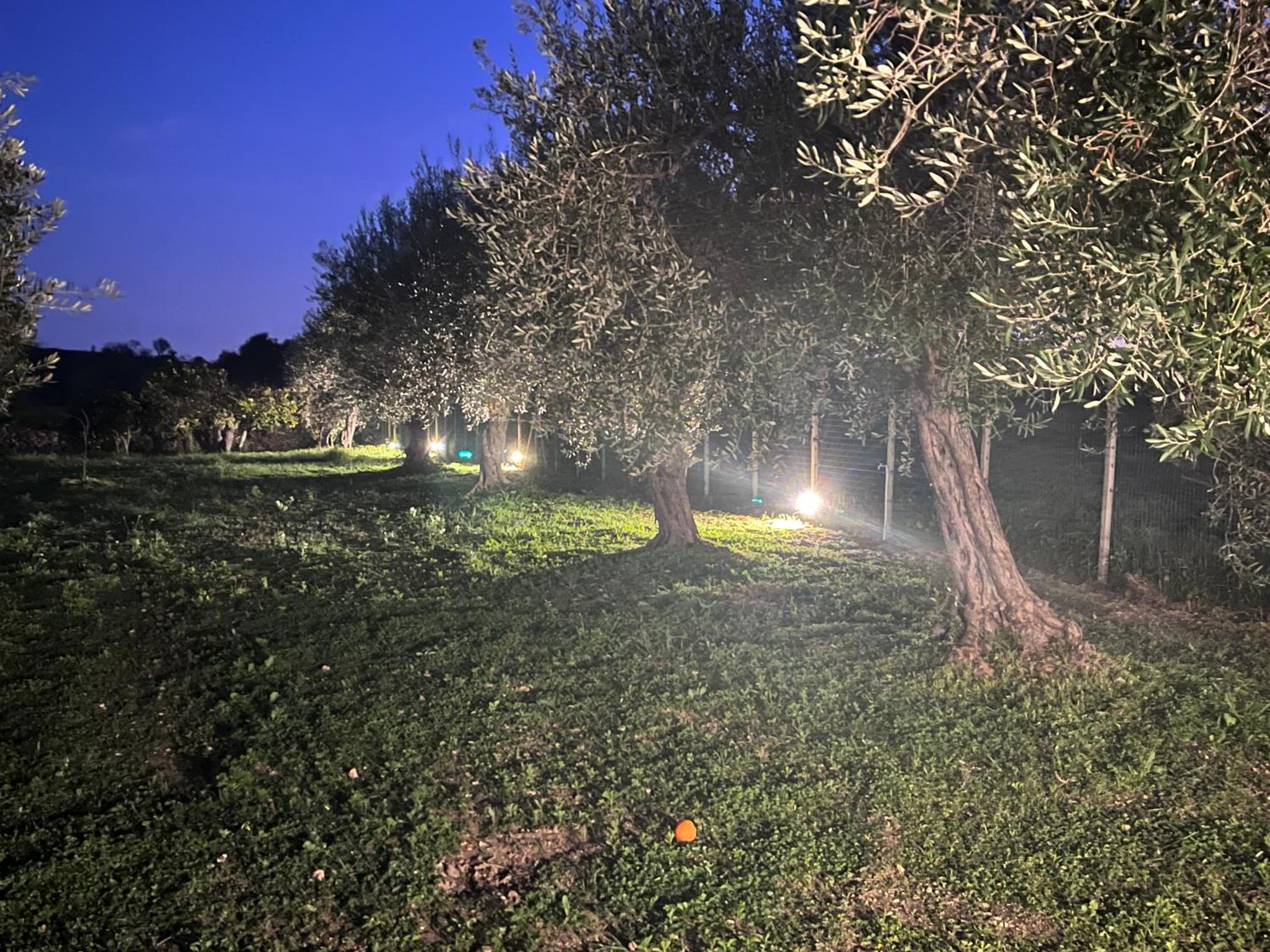 Casa Vacanze Morgana Marzamemi